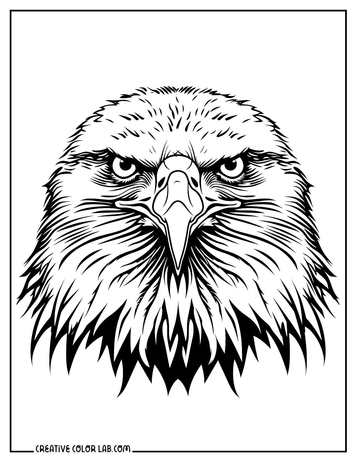 coloring picture of an eagle coloring picture of an eagle