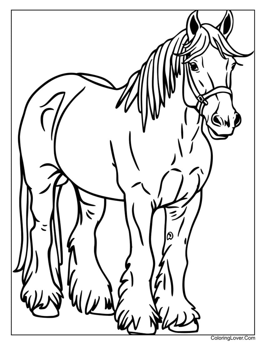 coloring pages of horses coloring pages of horses