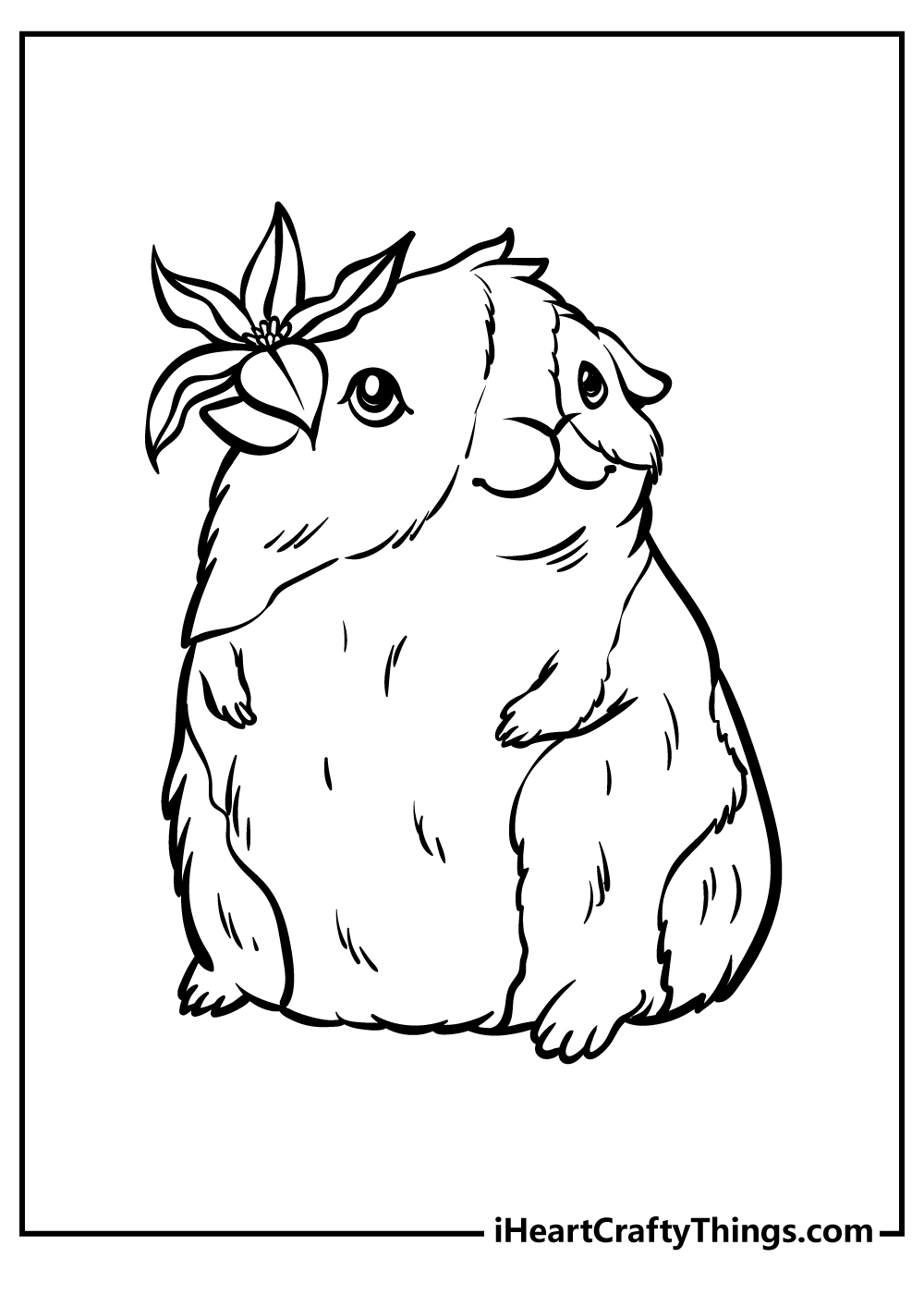 coloring pages guinea pigs coloring pages guinea pigs