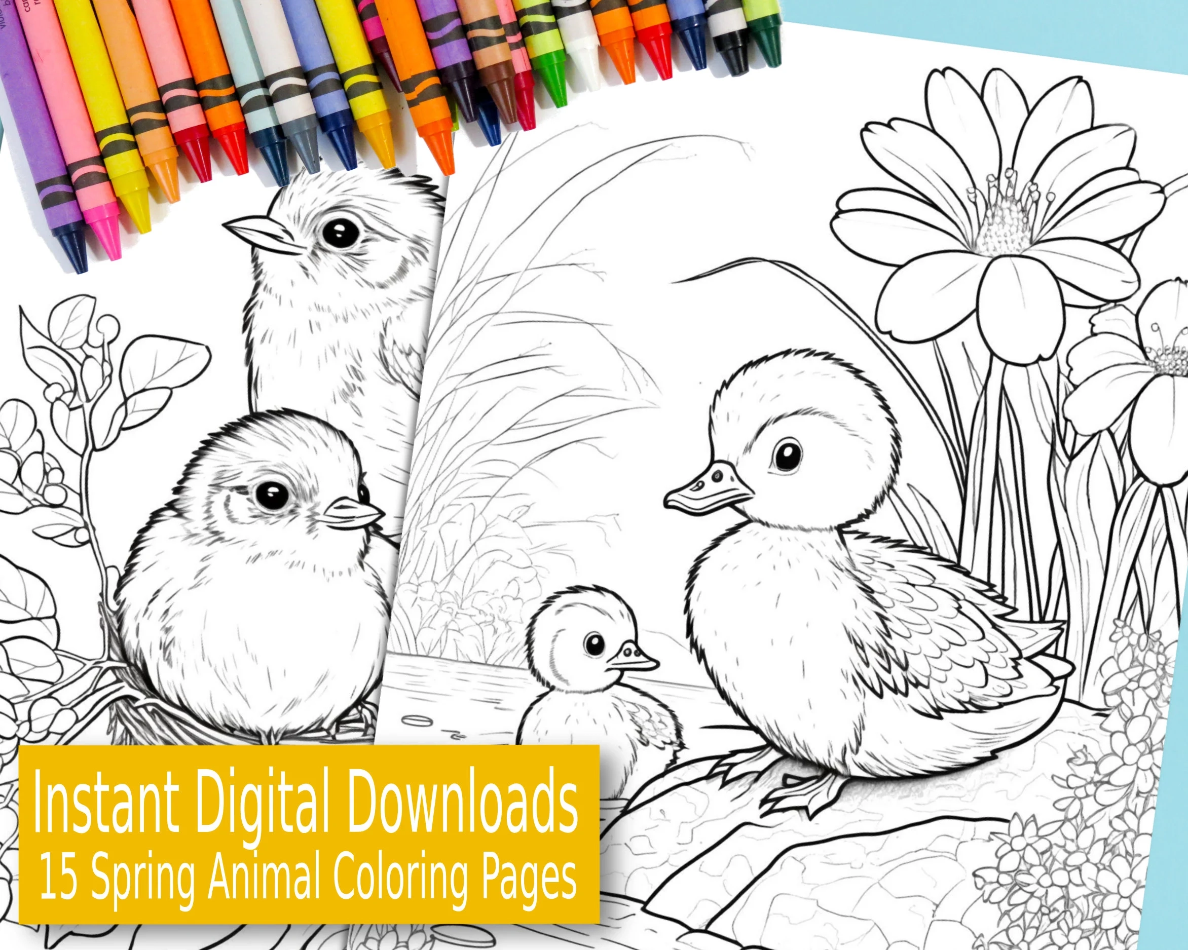 15 Spring time Animal Coloring Pages For Kids Etsy Israel