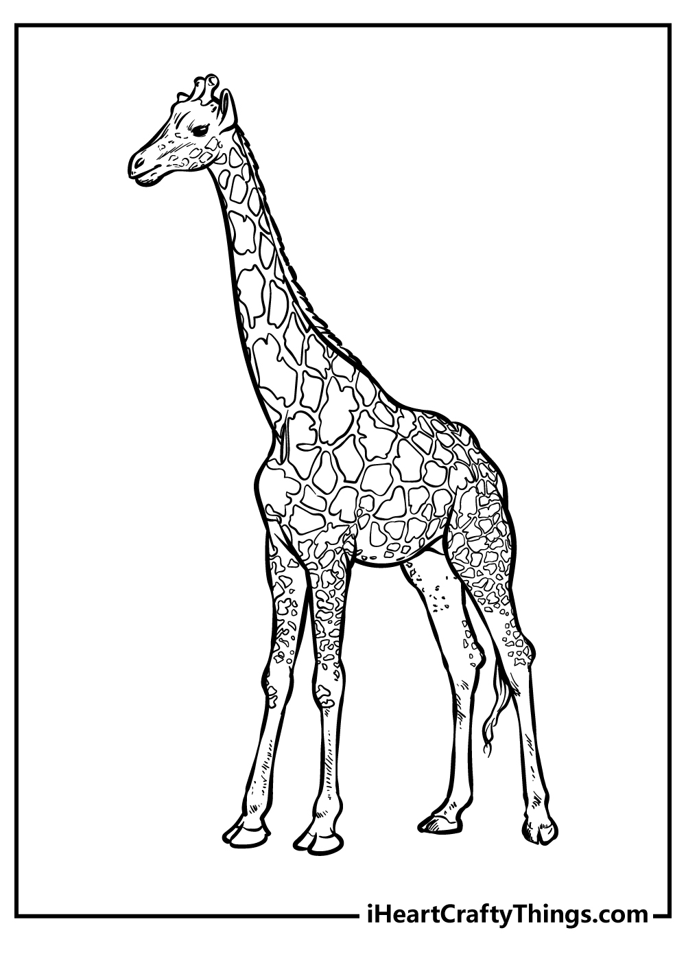 200 Zoo Animals Coloring Pages 100 Free Printables 