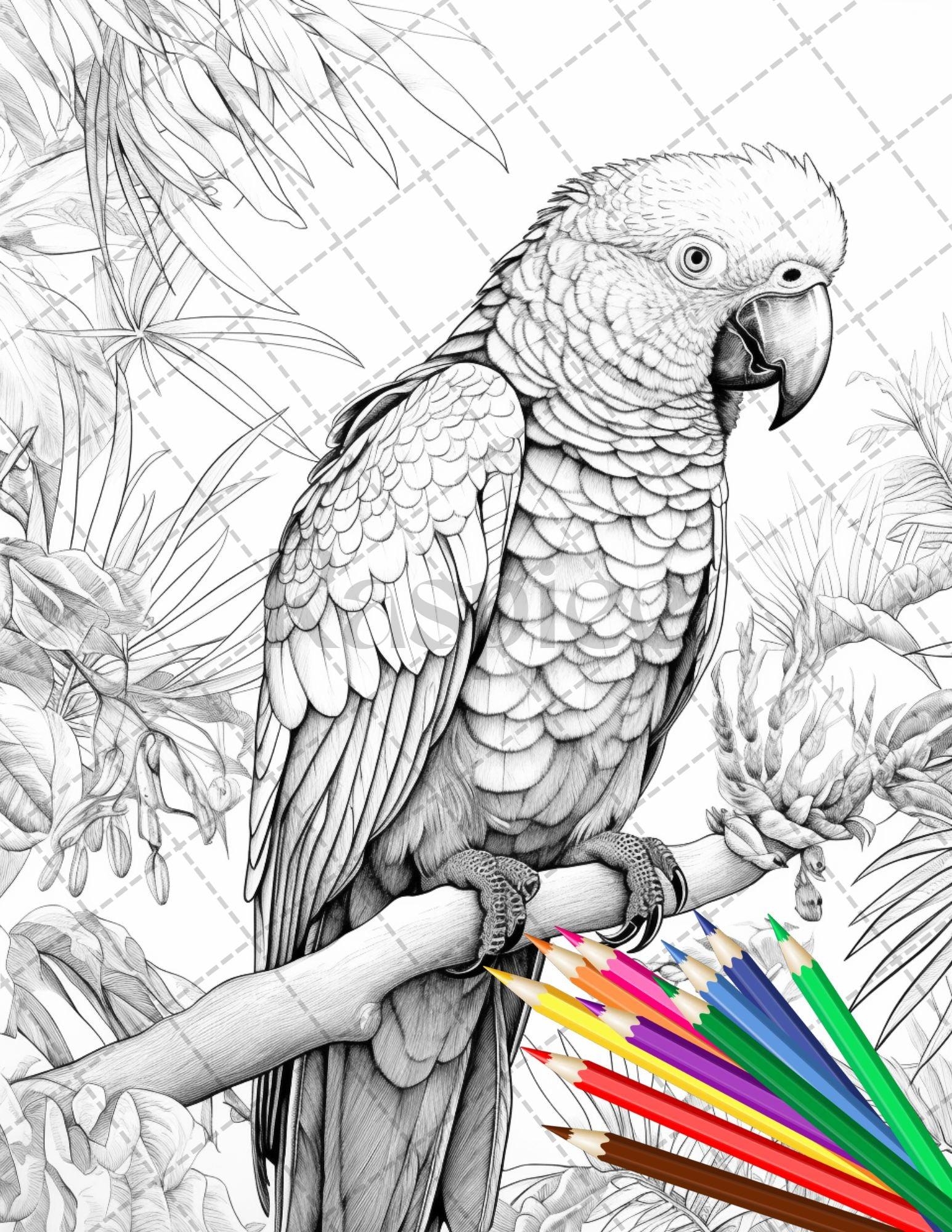 31 Tropical Birds Coloring Book For Adults Grayscale Coloring Page P RASPIEE