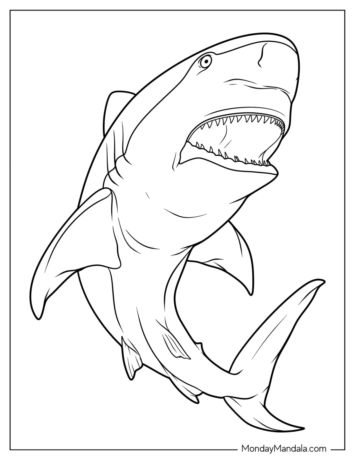 shark pictures to color
