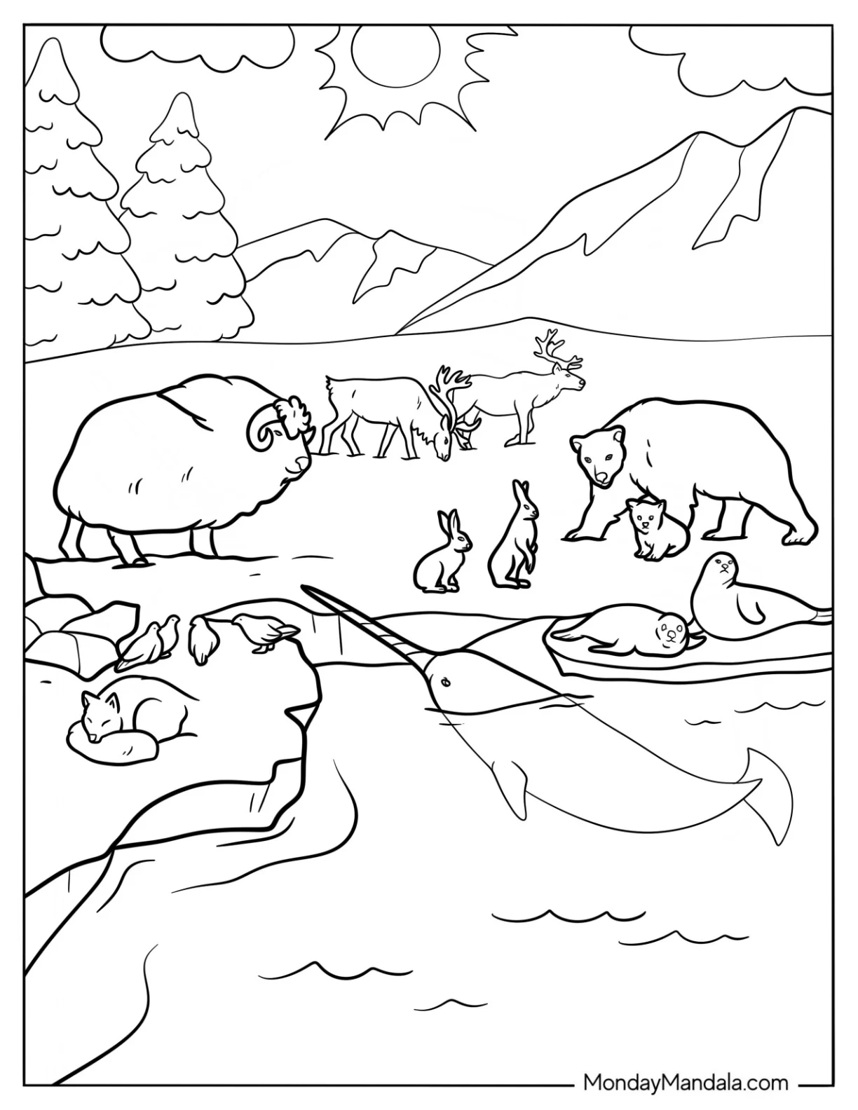 coloring pages arctic animals