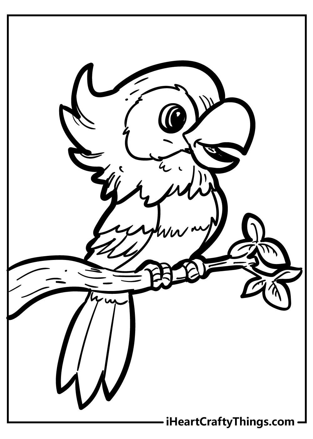 bird coloring book pages