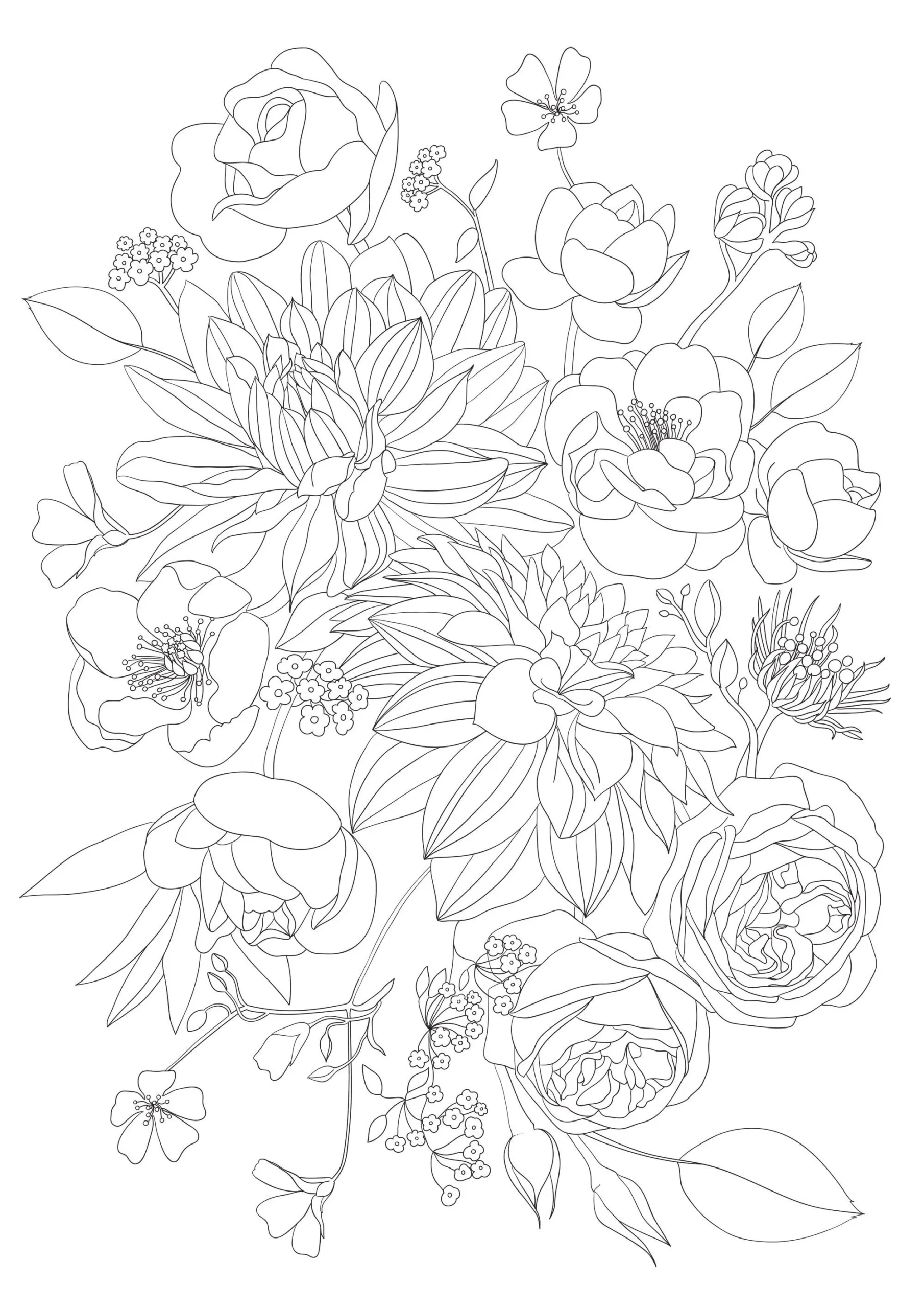 4 Printable Adult Flowers Coloring Pages PNG A4 Roses And Chrysanthemum Relaxing Hobby Creating Floral Art For Wall Decor Lovely Gift Etsy 4 Printable Adult Flowers Coloring Pages PNG A4 Roses And Chrysanthemum Relaxing Hobby Creating Floral Art For Wall Decor Lovely Gift Etsy