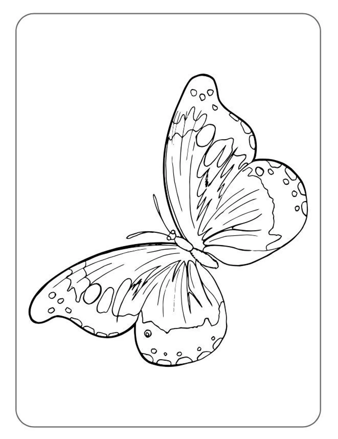40 Butterfly Coloring Pages Printable Designs For Children digital Download Etsy