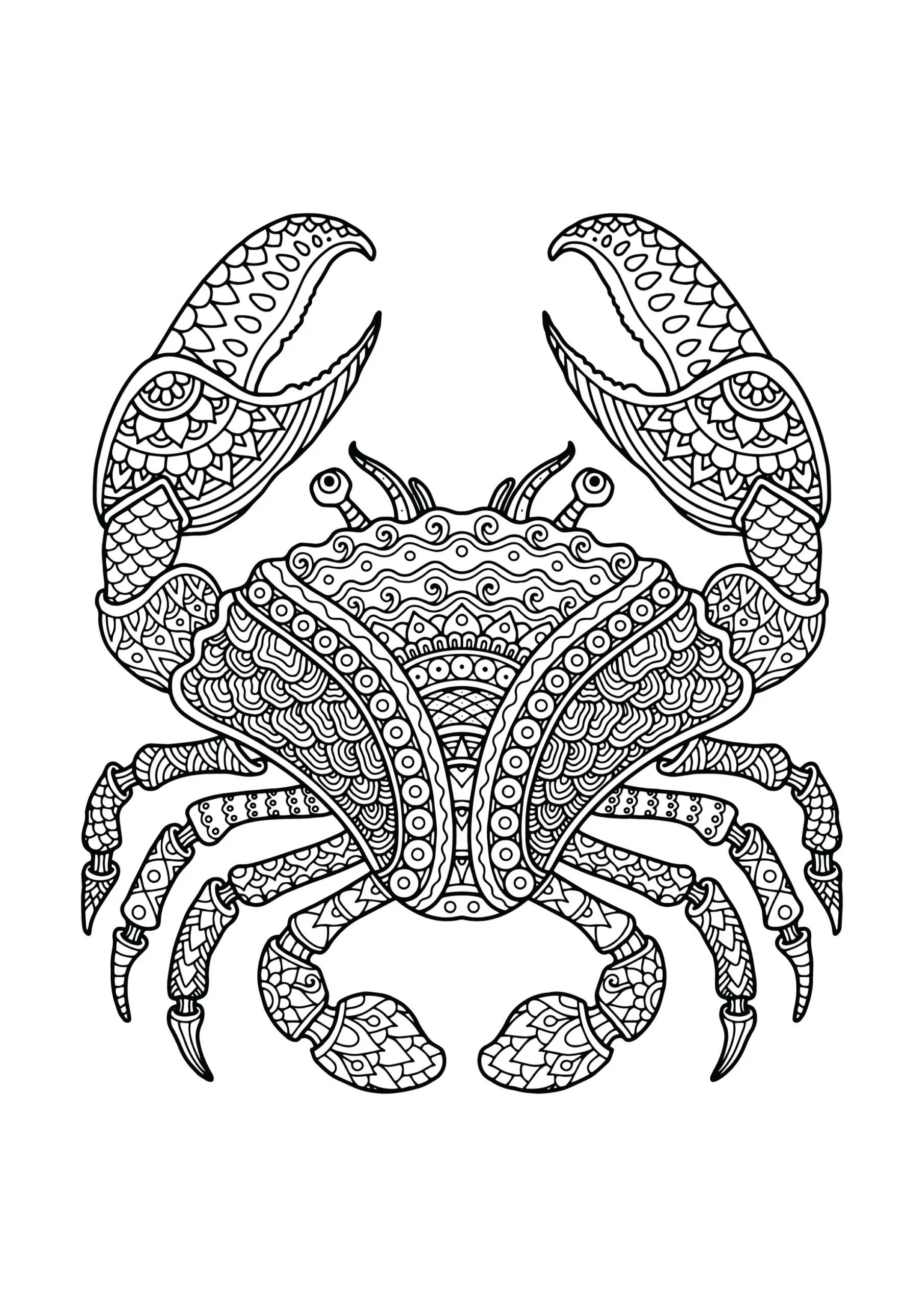 animal mandala coloring pages