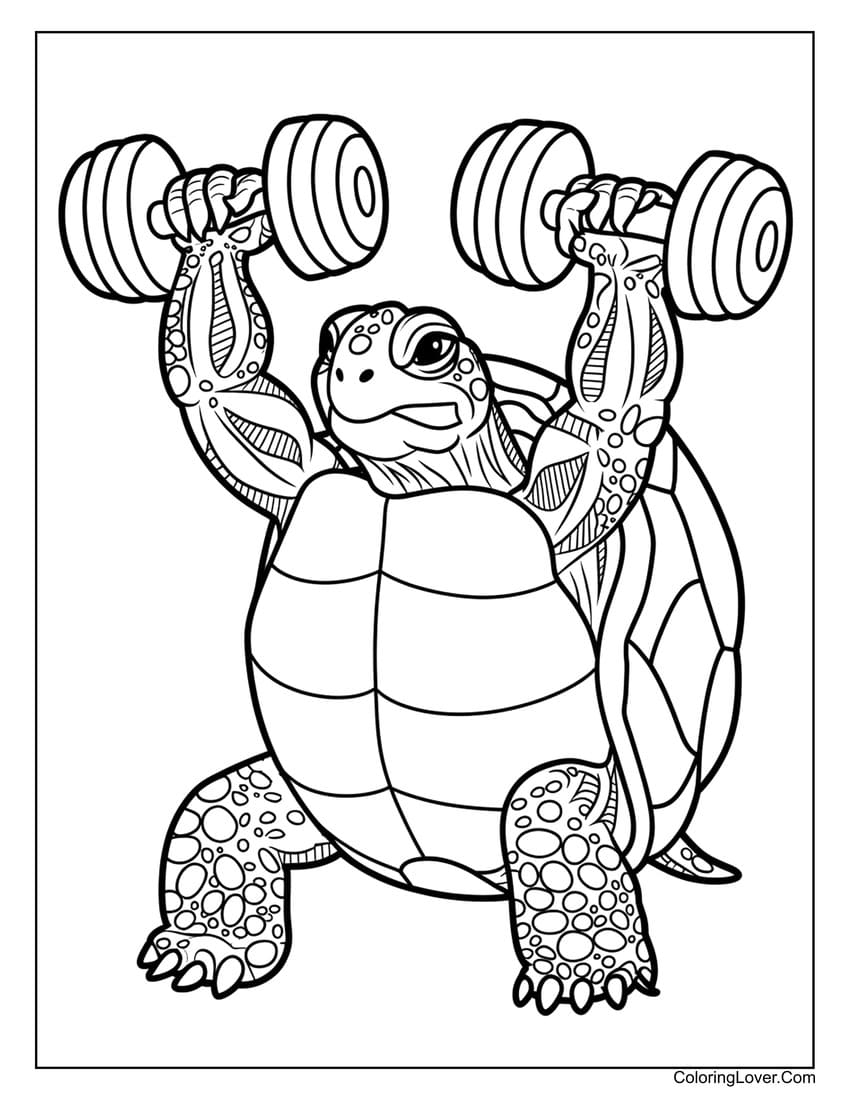 sea turtles coloring pages
