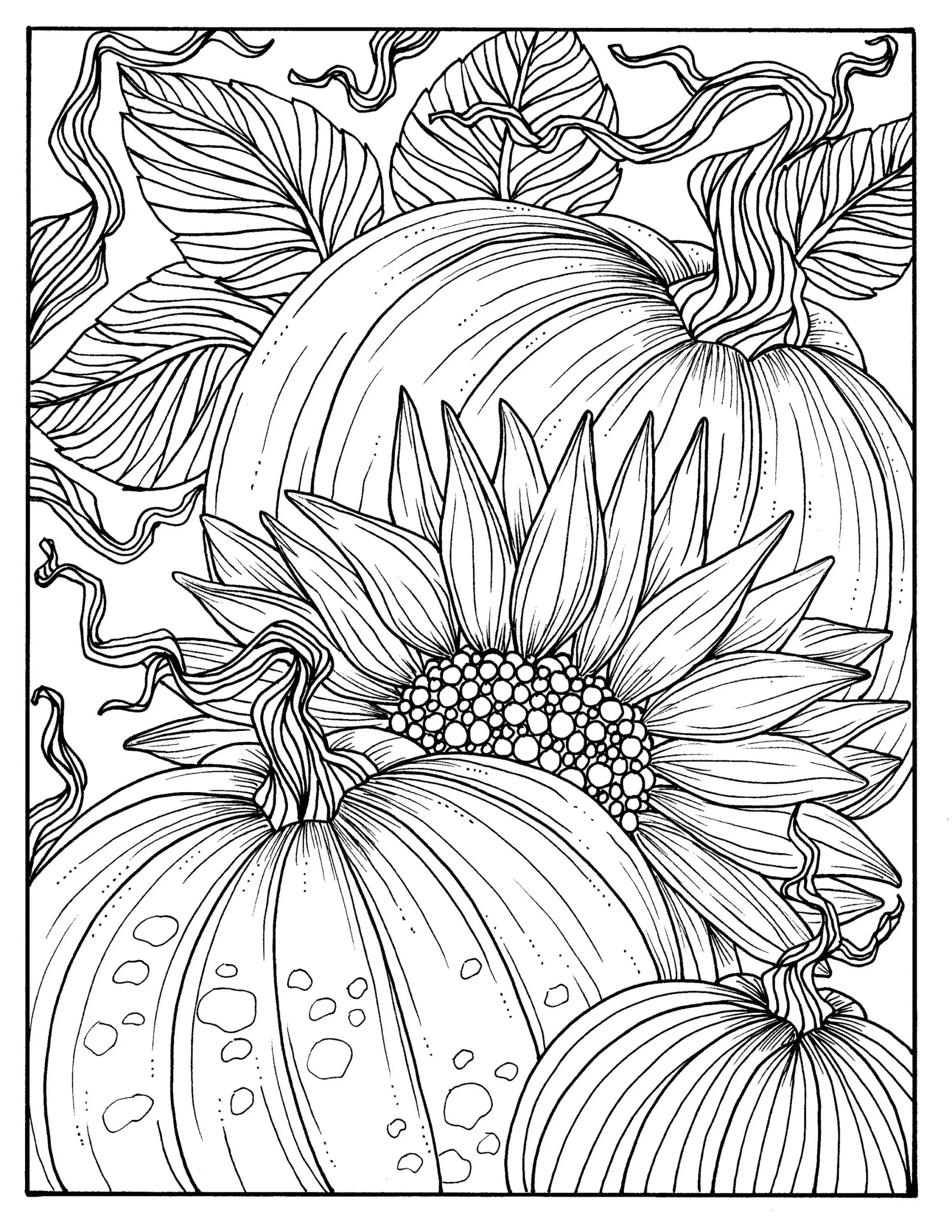 5 Pages Fabulous Fall Digital Downloads To Color Punpkins Crows Sunflowers Gourds Squirrel Thanks Autumn Etsy