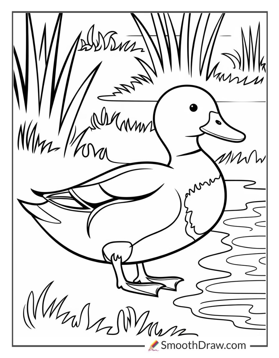 53 Duck Coloring Pages Free PDF Printables 