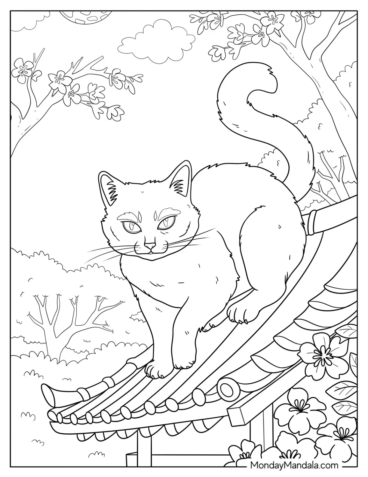 free colouring pages of cats