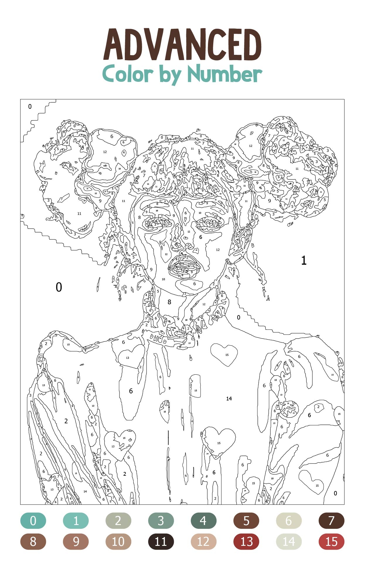 Advanced Color By Number 20 Free PDF Printables Printablee