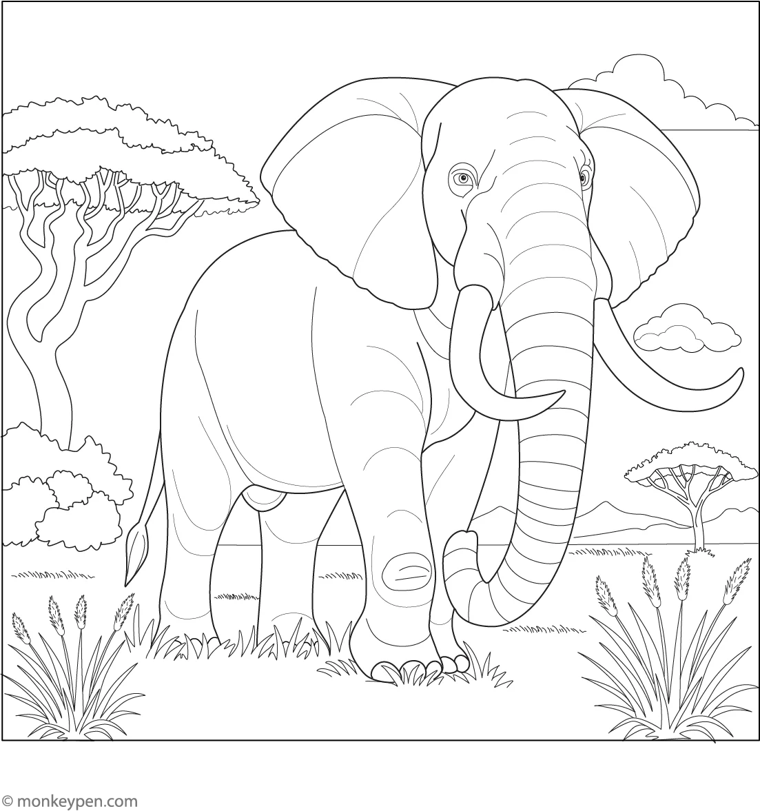 African Elephant Coloring Page