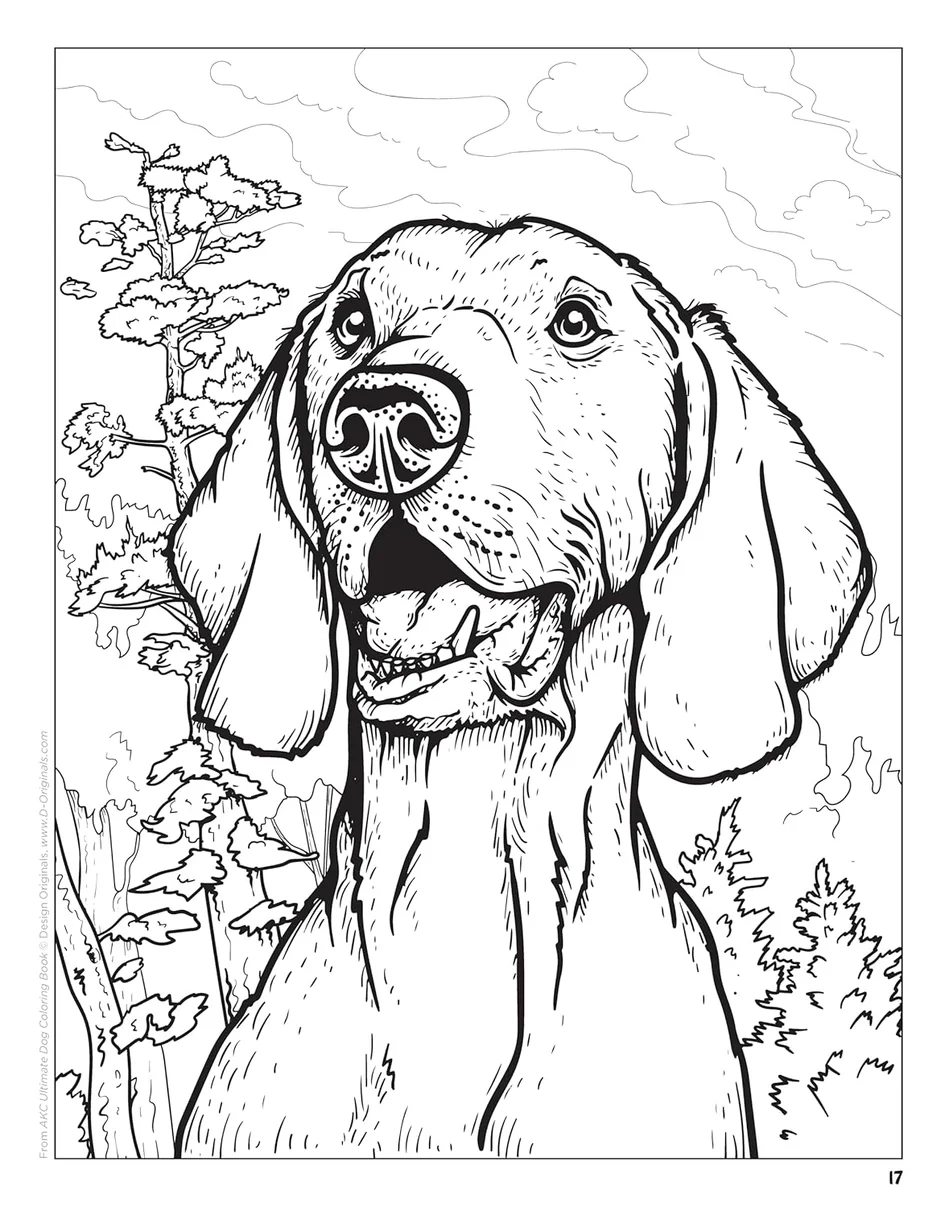 AKC Ultimate Dog Coloring Book AKC Shop