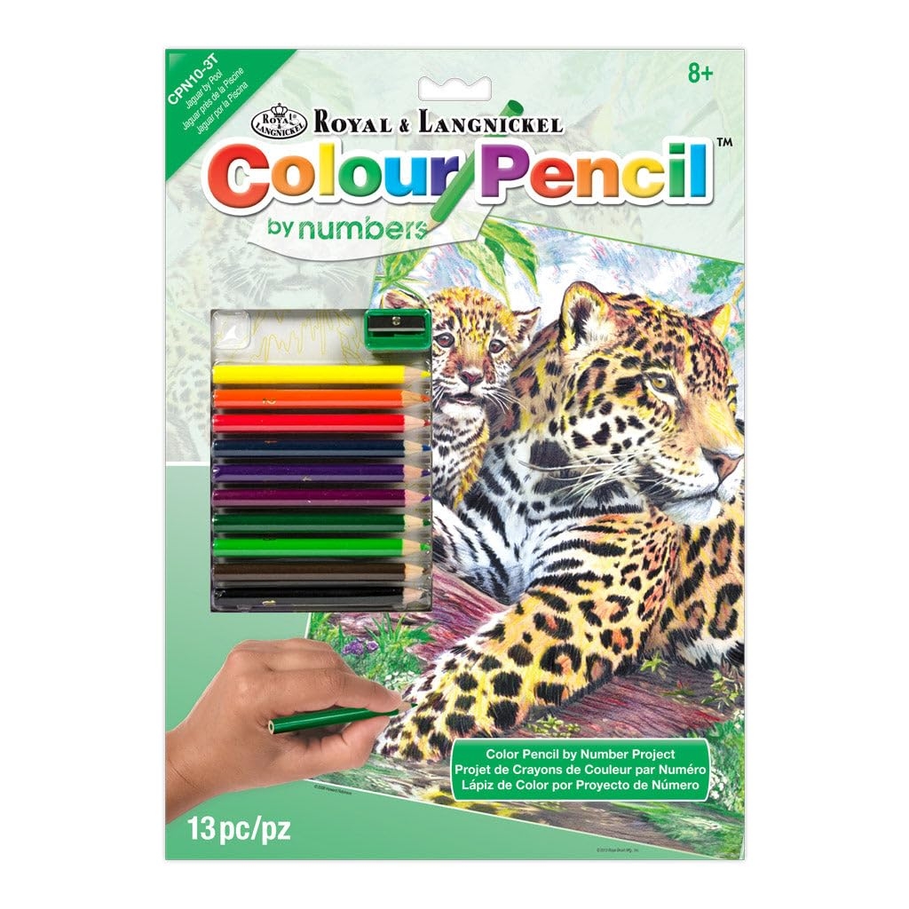 color pencil by number