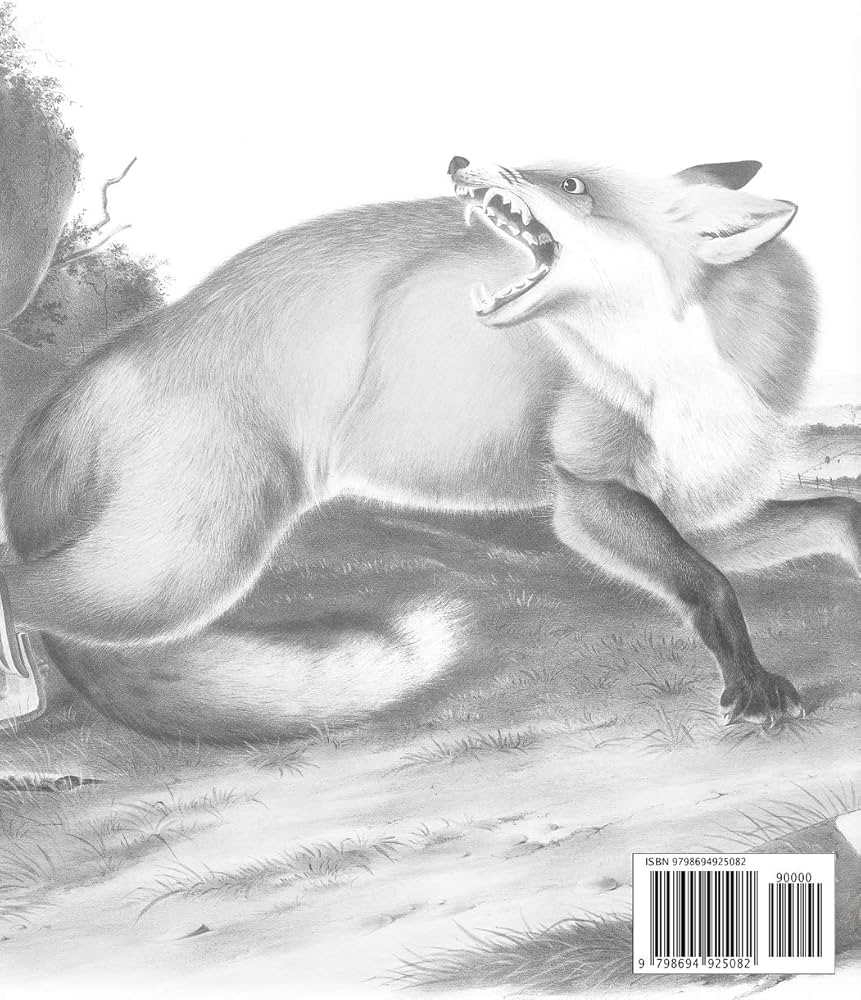 real animal coloring pages