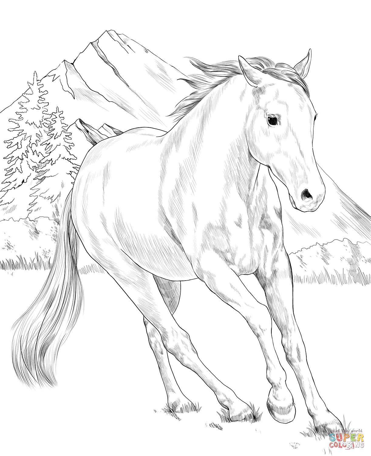 American Paint Horse Coloring Page Free Printable