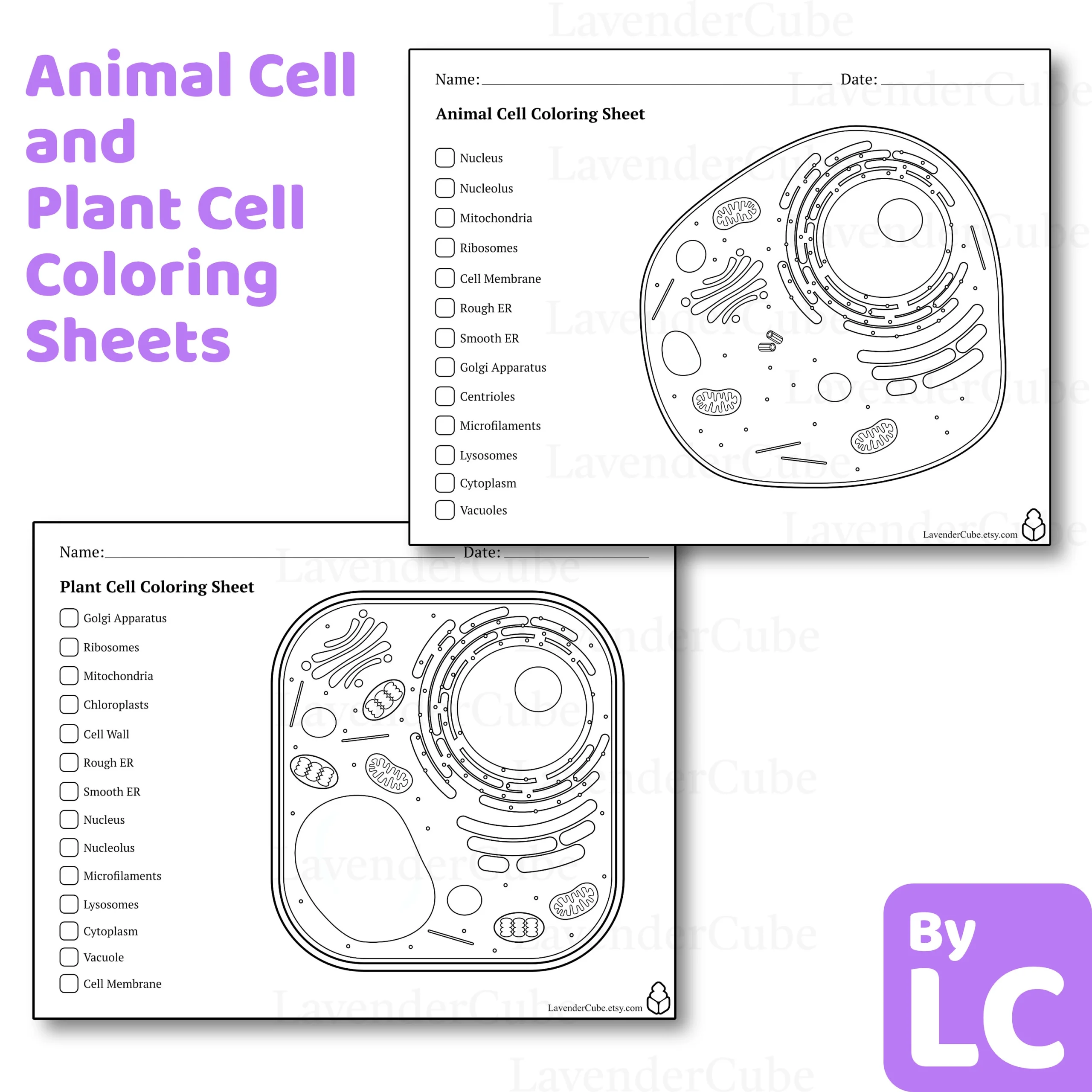 Animal And Plant Cell Coloring Worksheets Digital Download 300 DPI Png Etsy