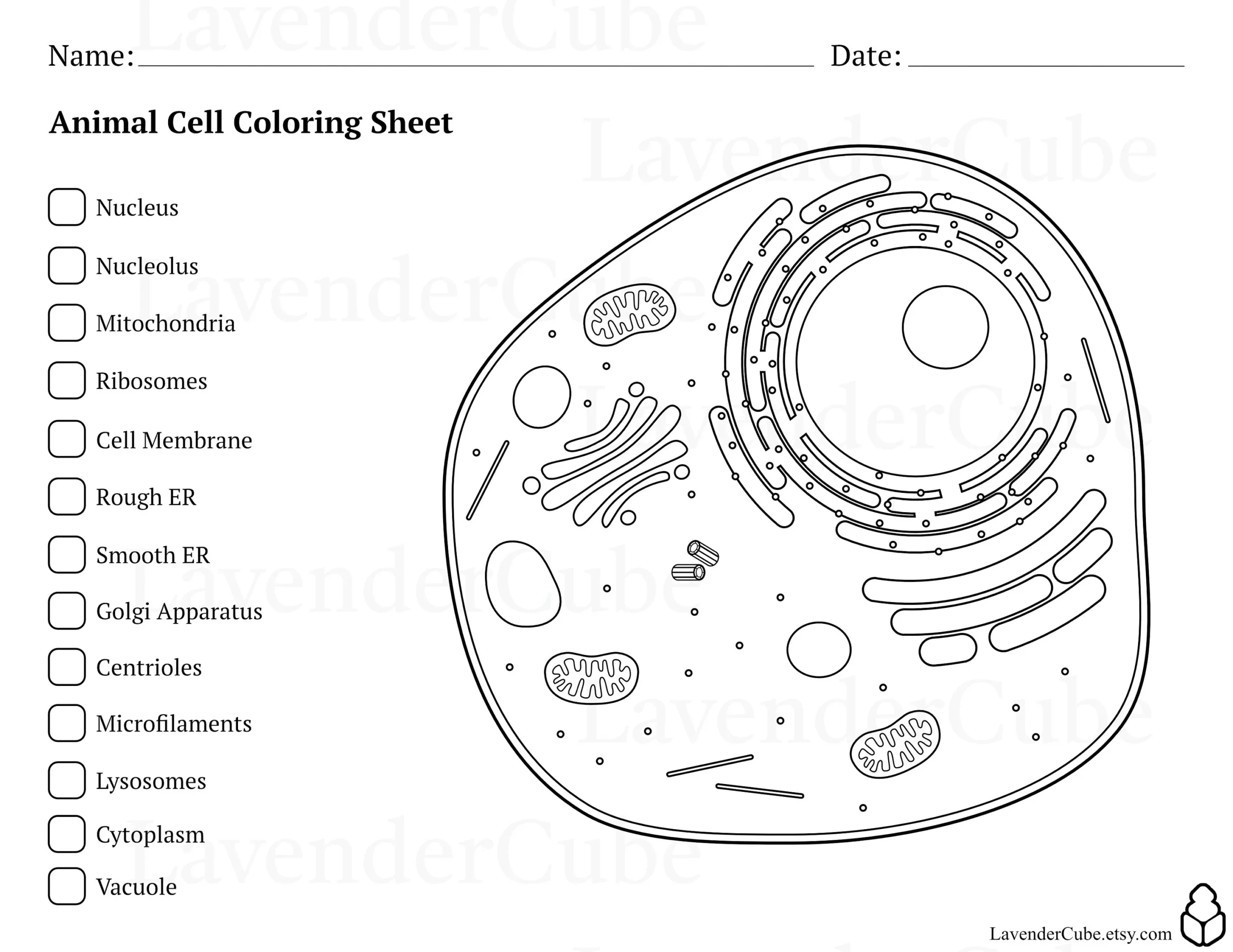 Animal And Plant Cell Coloring Worksheets Digital Download 300 DPI Png Etsy Israel Animal And Plant Cell Coloring Worksheets Digital Download 300 DPI Png Etsy Israel