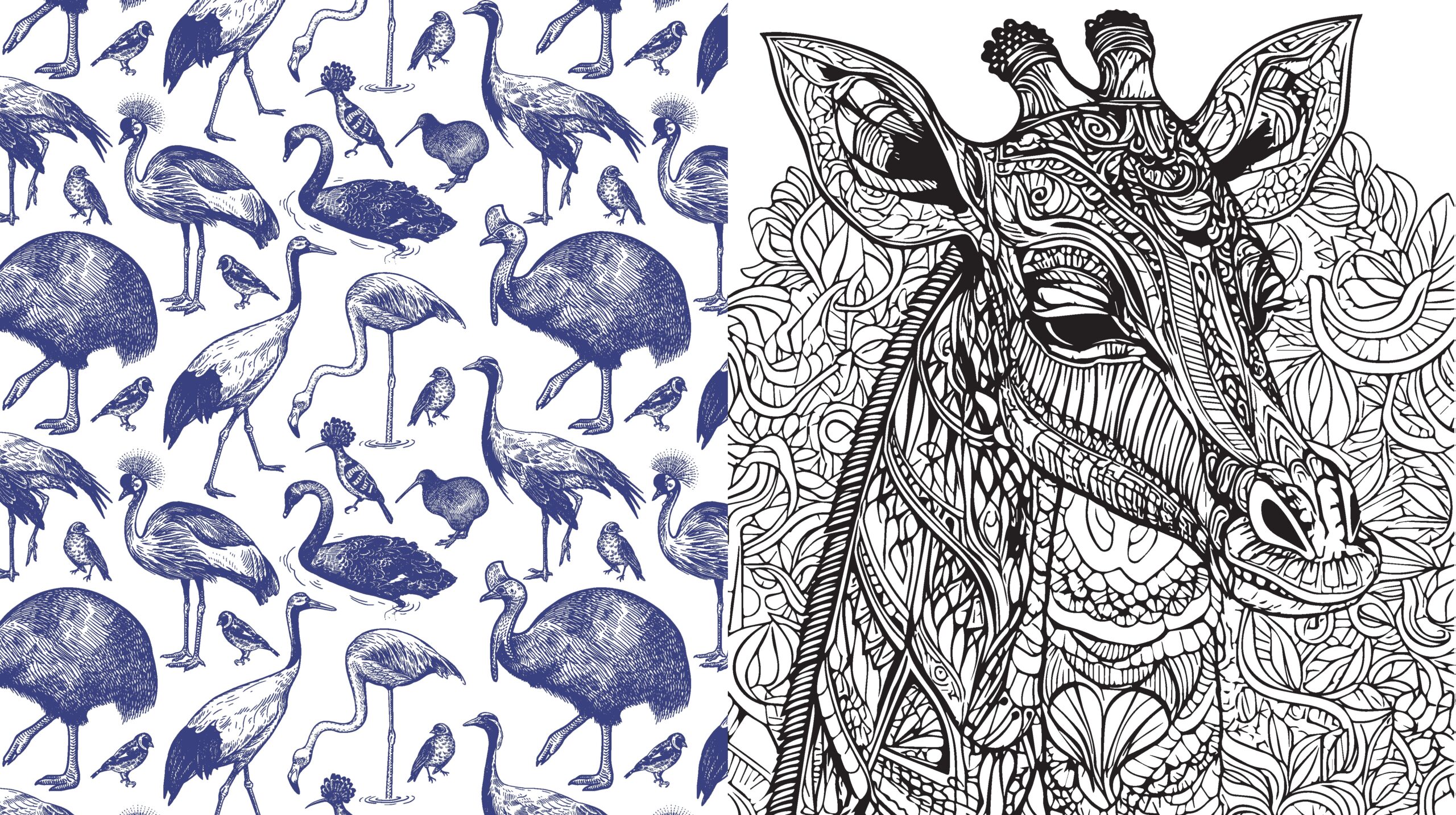 animal kingdom coloring book pages animal kingdom coloring book pages