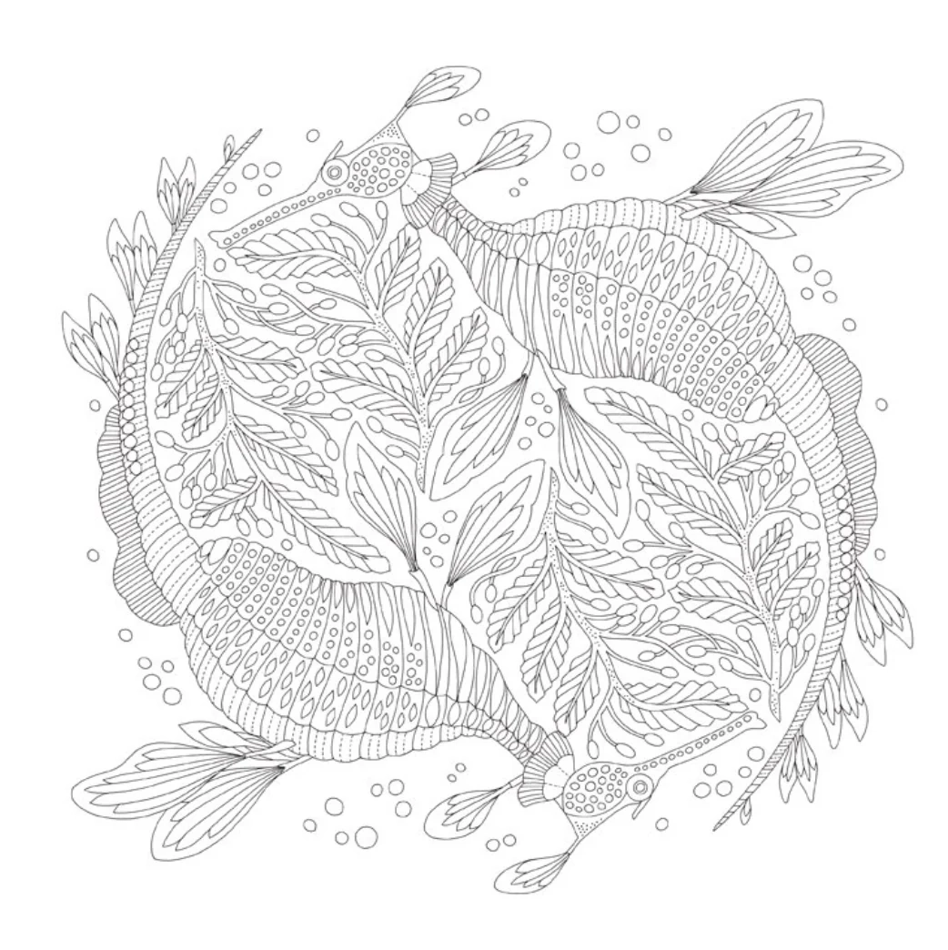 Animal Kingdom Coloring Book Safari Ltd Animal Kingdom Coloring Book Safari Ltd