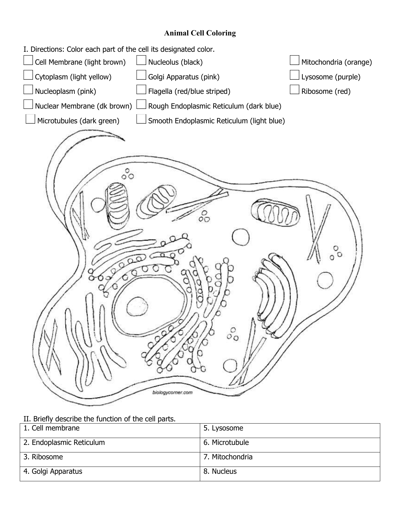 Animal Plant Cell Coloring Worksheet