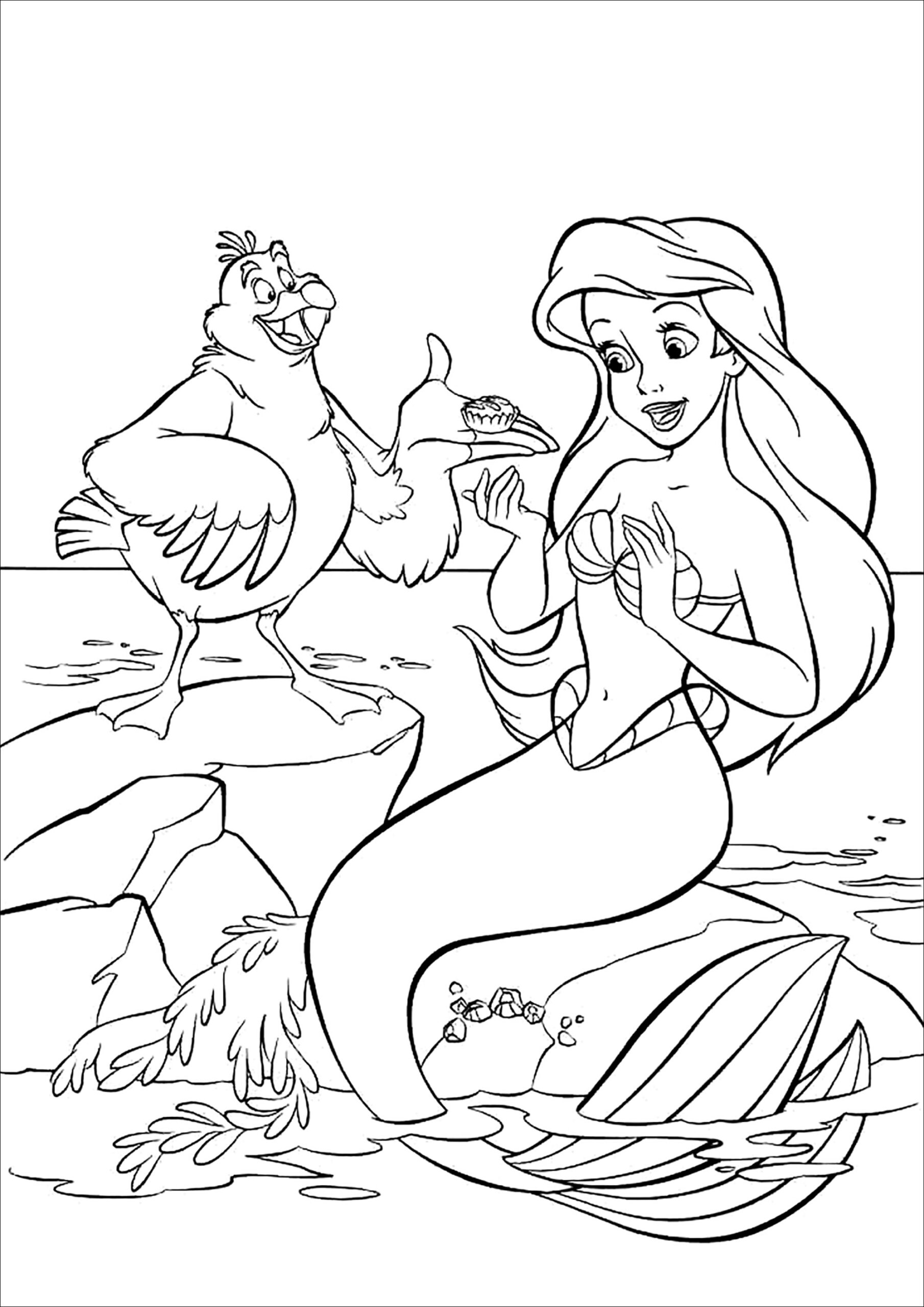 Ariel With Scuttle The Seagull The Little Mermaid Coloring Pages For Kids Ariel With Scuttle The Seagull The Little Mermaid Coloring Pages For Kids