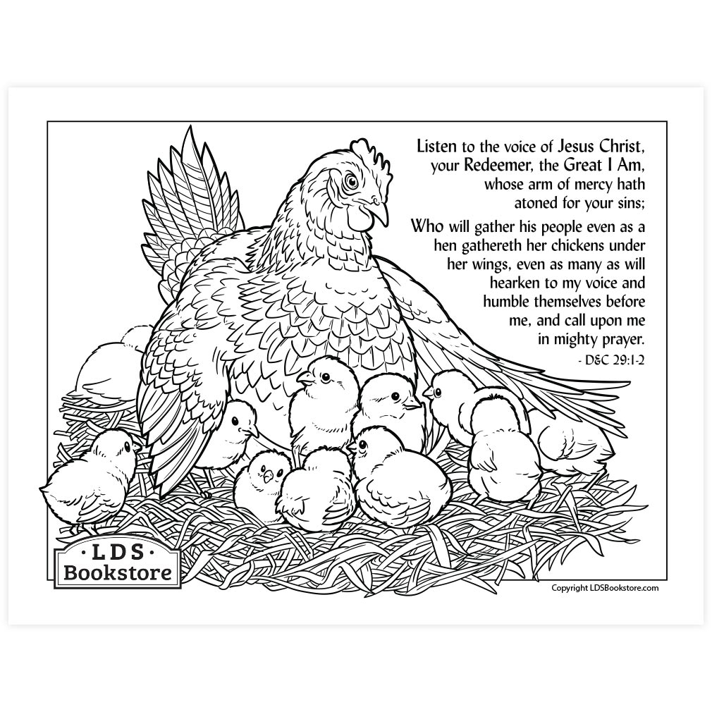 colouring pages of hen colouring pages of hen