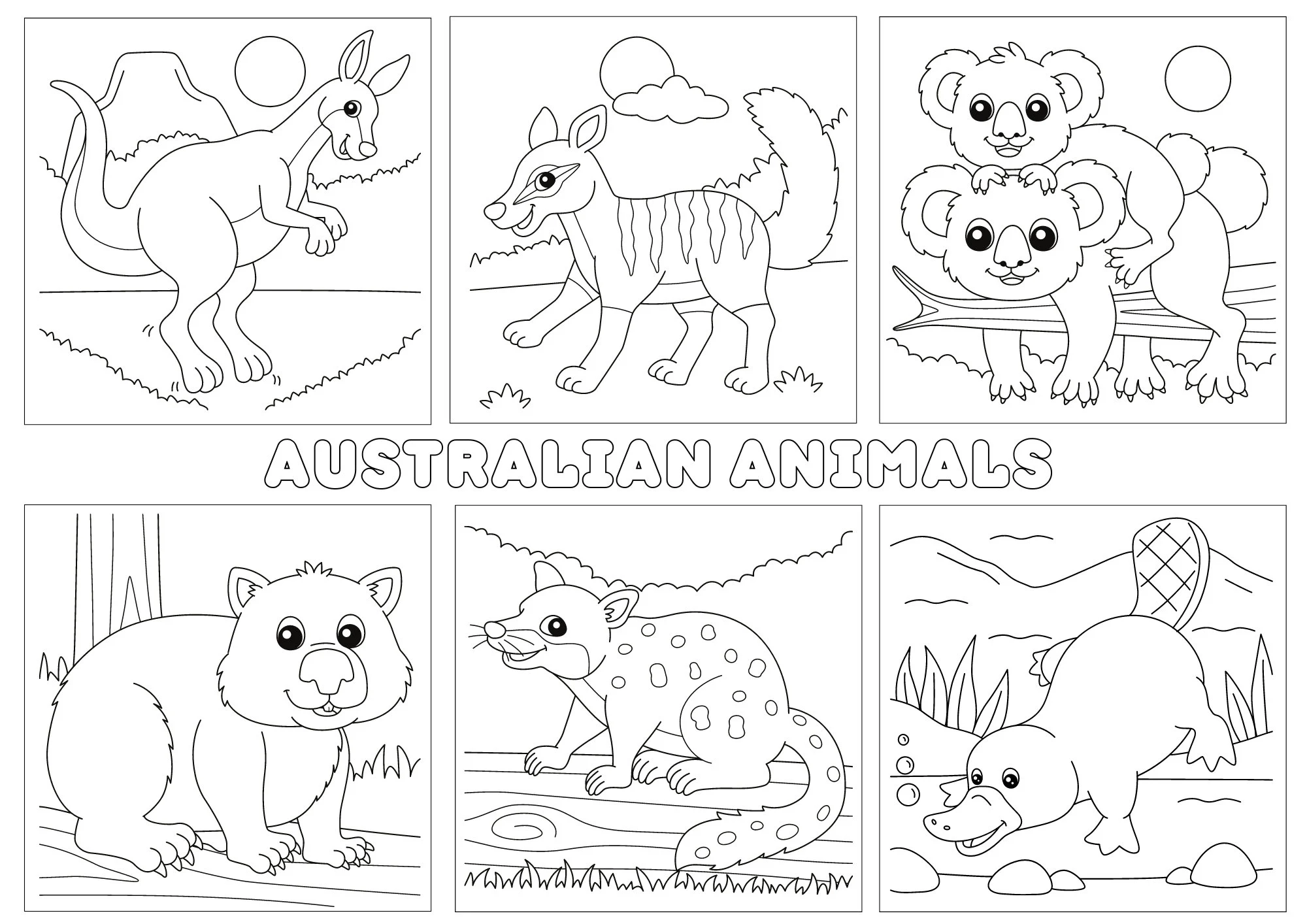 Australian Animals Coloring Page Marsupials Printable digital Download Etsy