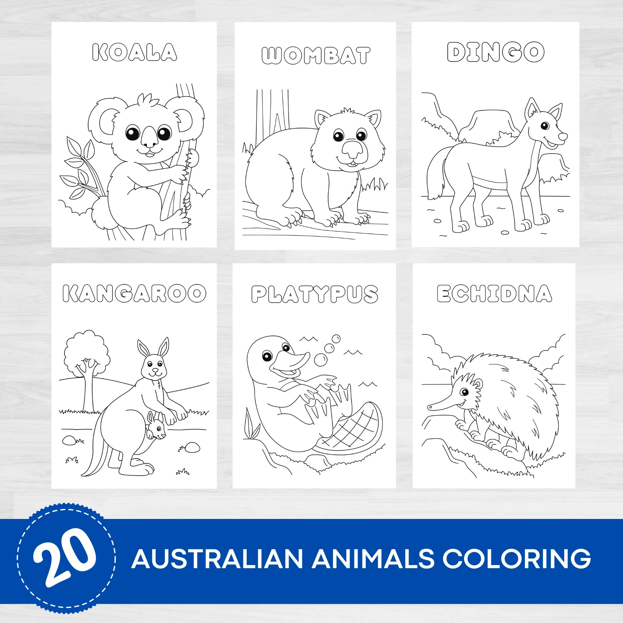 coloring pages of australian animals