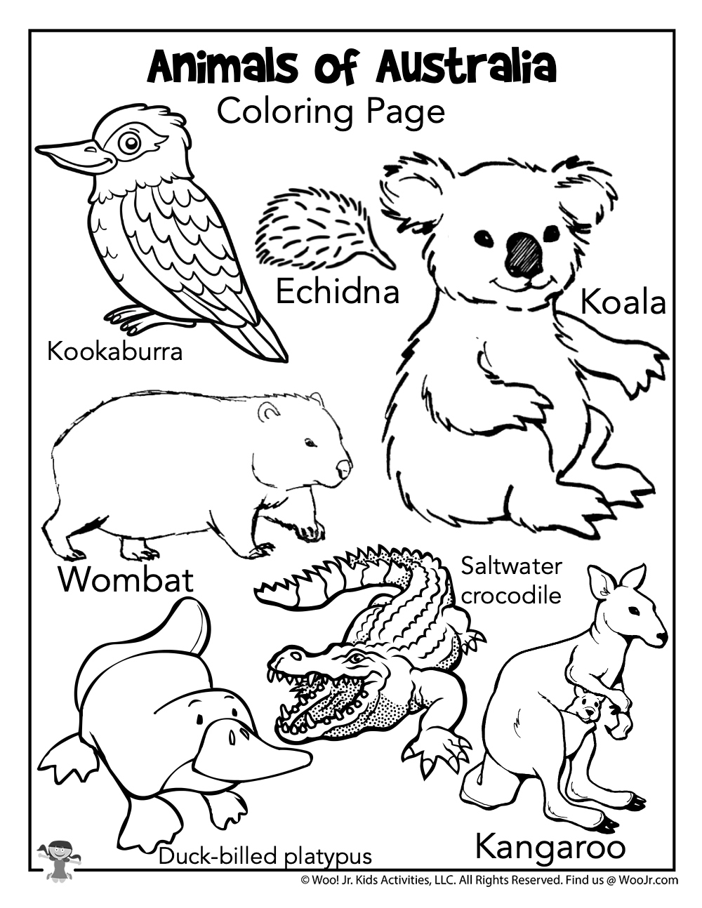 Australian Animals Colouring Pages