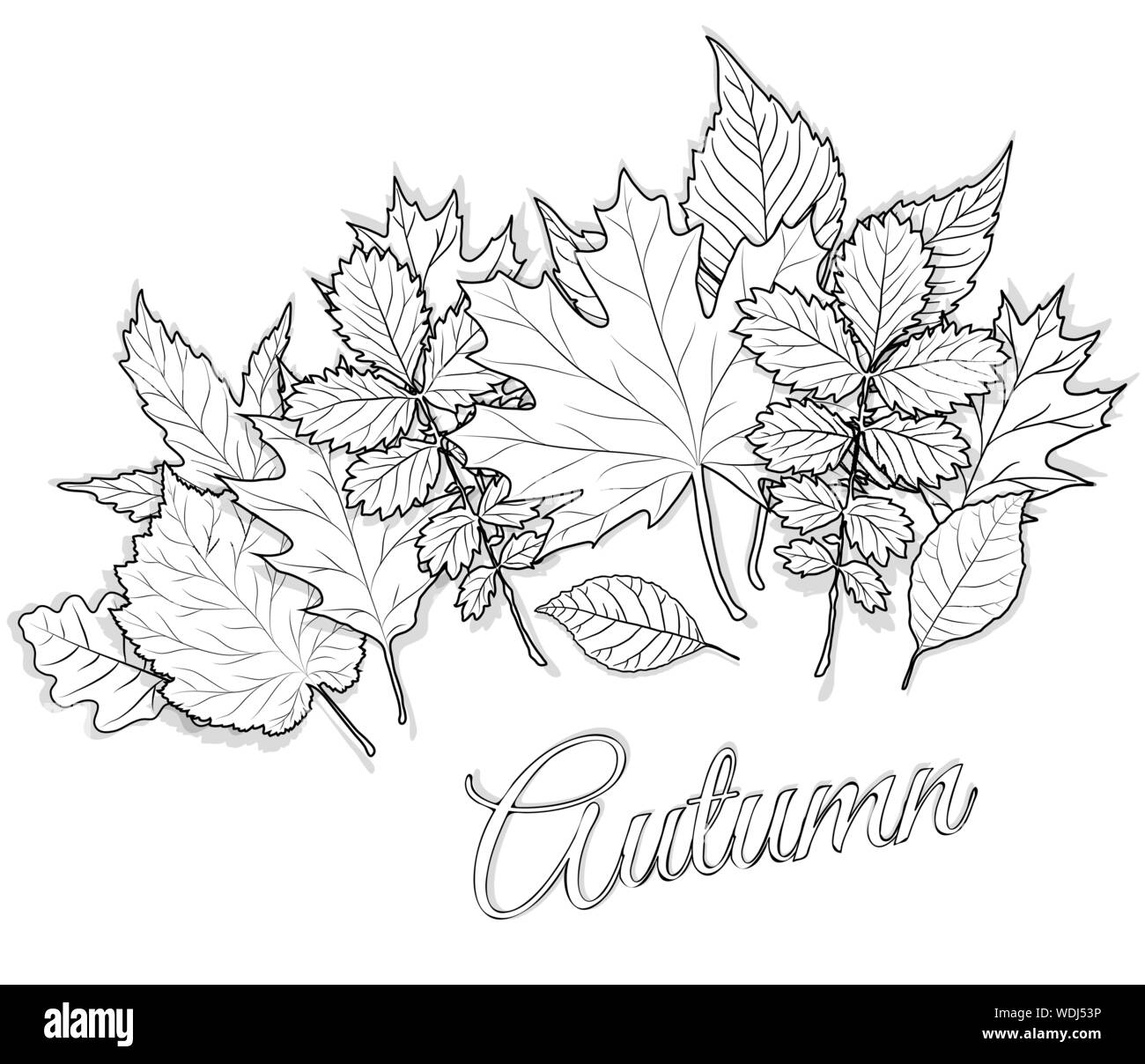 autumn leaves to color pages
