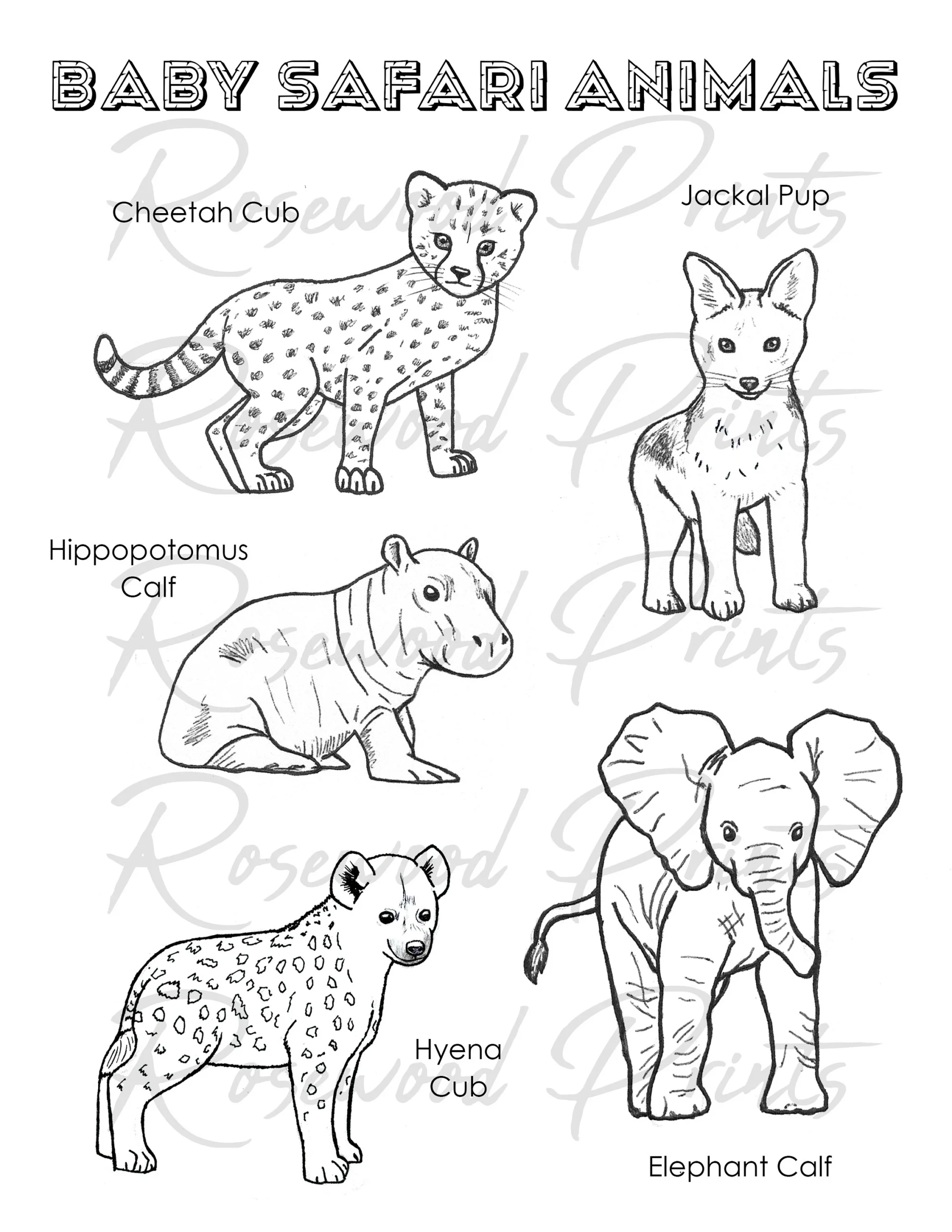 Baby Safari Animals Coloring Pages Etsy Baby Safari Animals Coloring Pages Etsy
