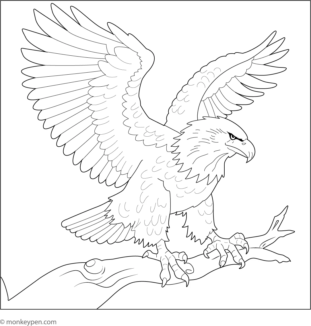 Bald Eagle Coloring Page Fun Printable Sheet For Kids