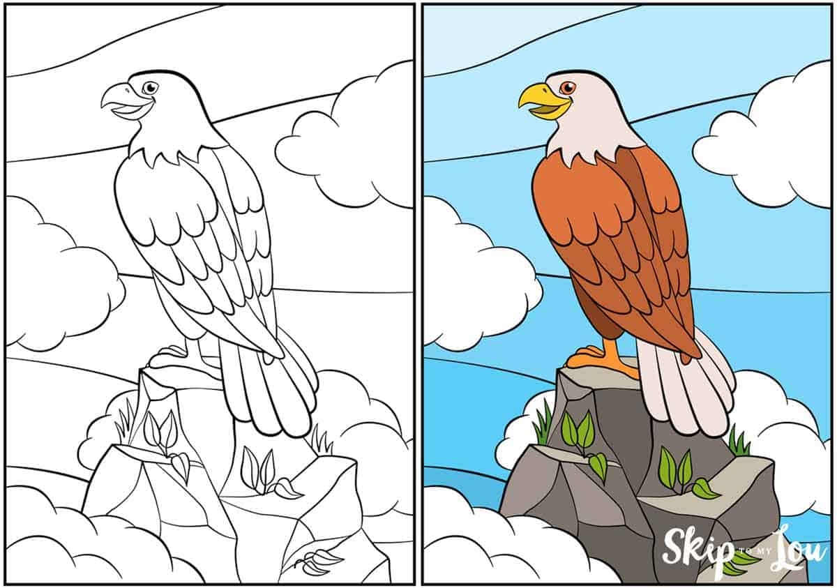 Bald Eagle Coloring Pages Skip To My Lou Bald Eagle Coloring Pages Skip To My Lou