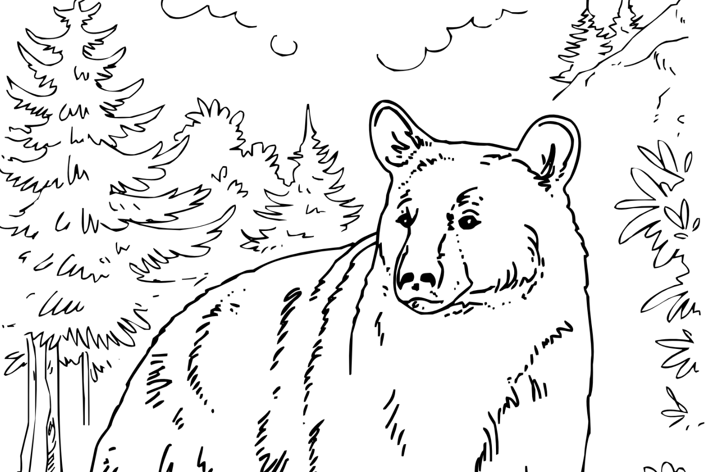 pictures to color of bears pictures to color of bears