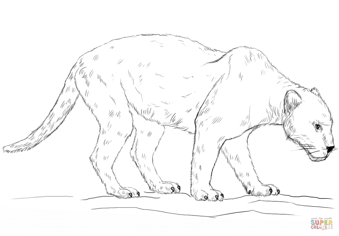 Black Panther Coloring Page Free Printable