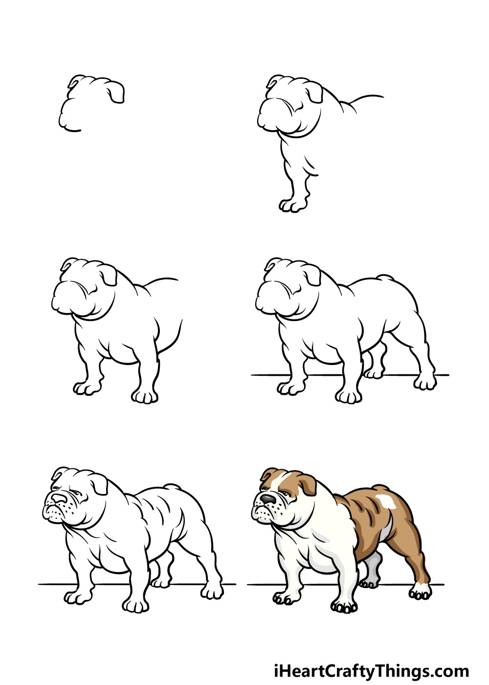 how to draw english bulldog