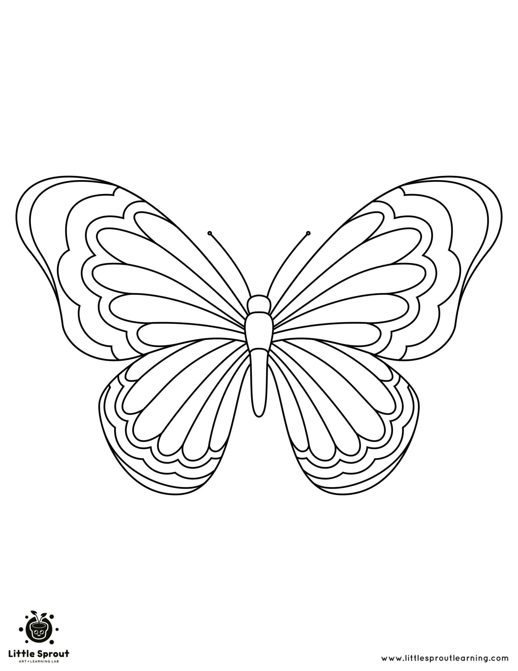coloring picture of a butterfly