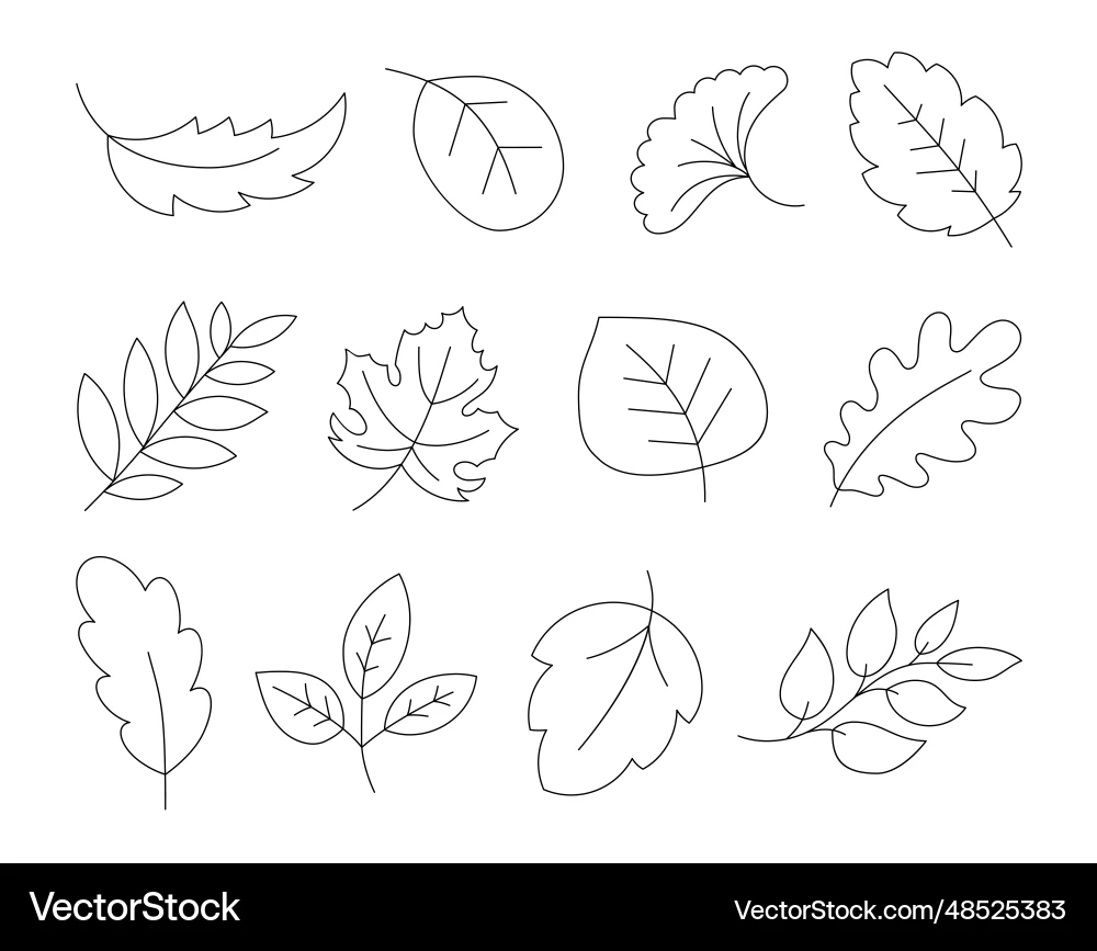 Cartoon Autumn Leaves Coloring Page Royalty Free Vector VectorStock