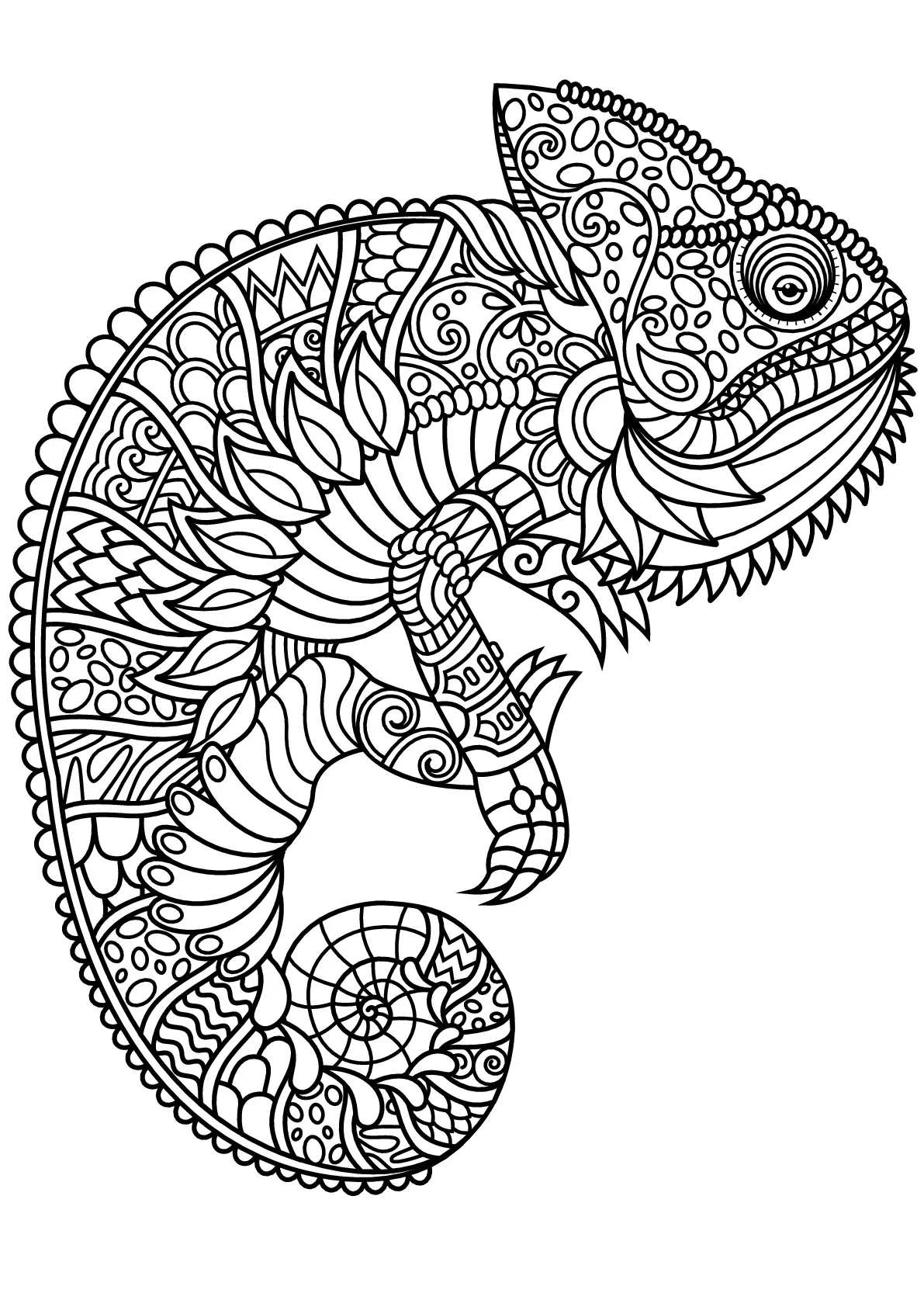 difficult coloring pages of animals difficult coloring pages of animals