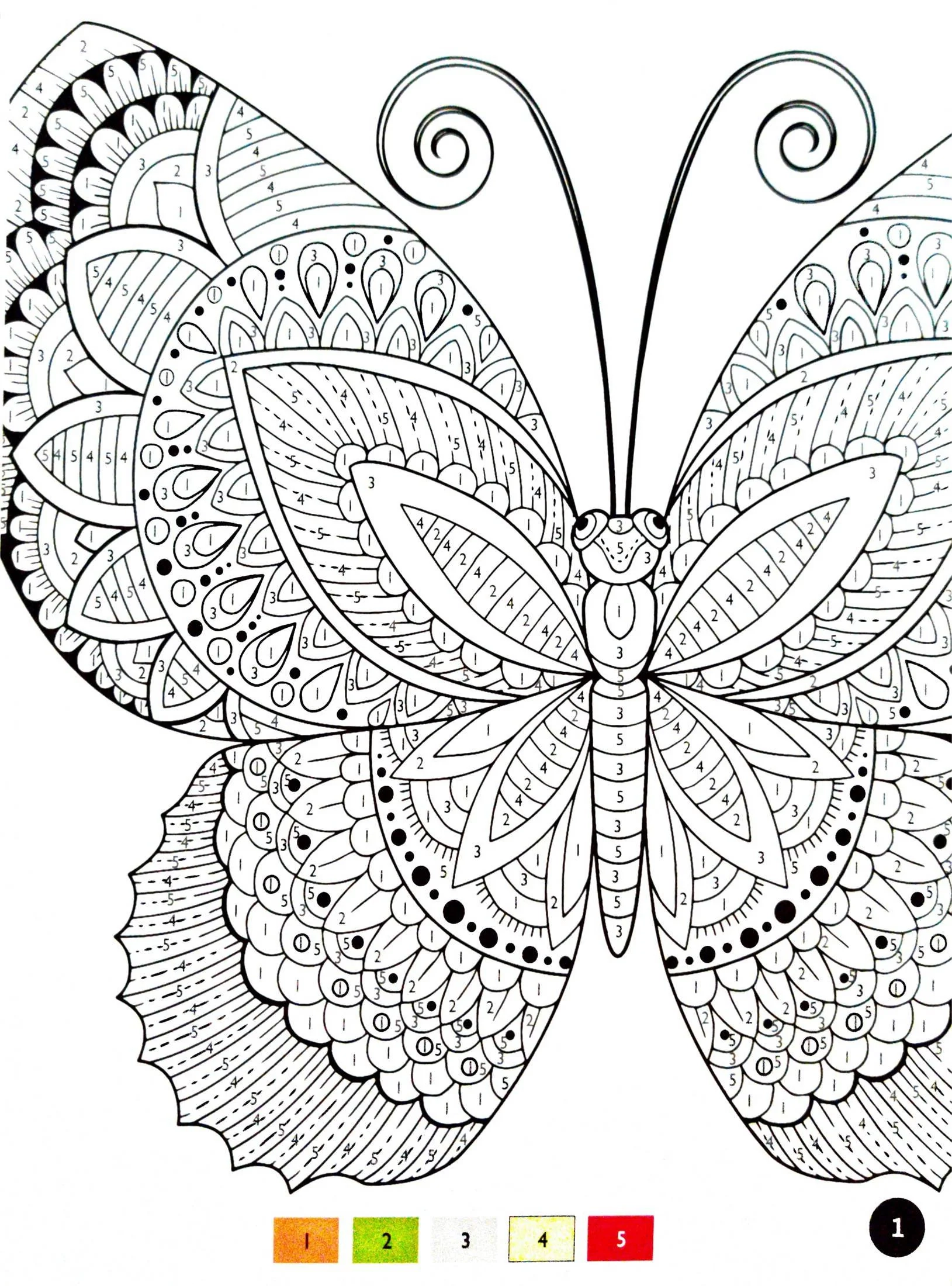 color by number butterflies