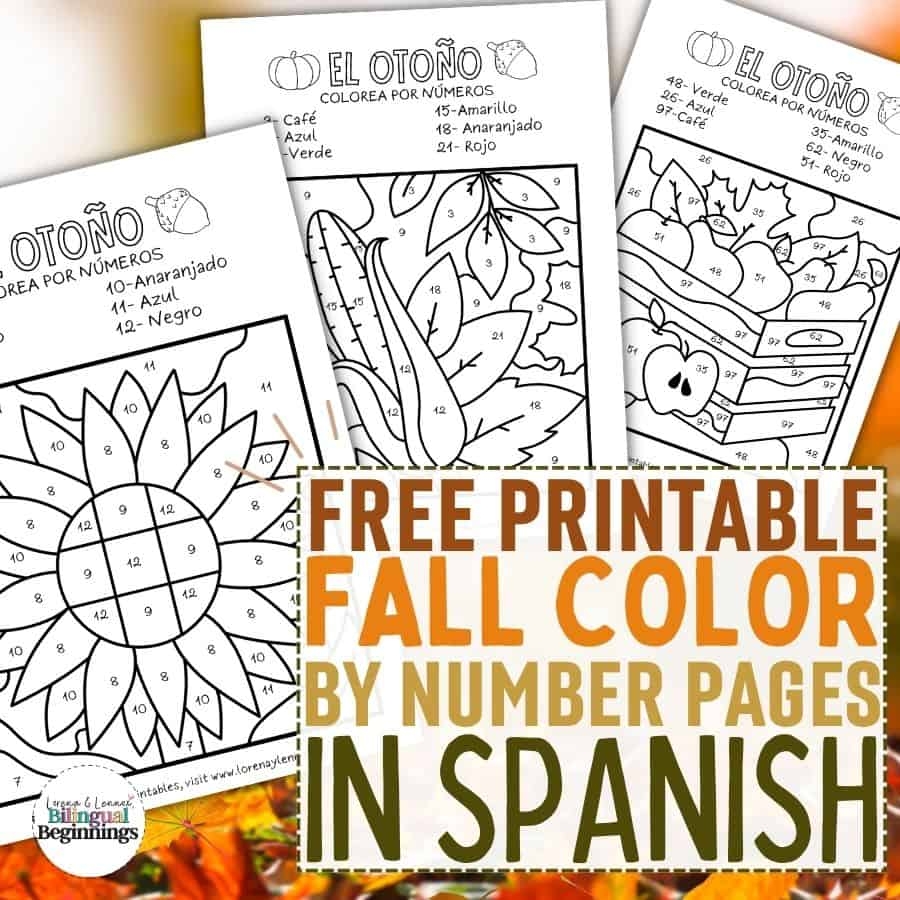 color by number spanish