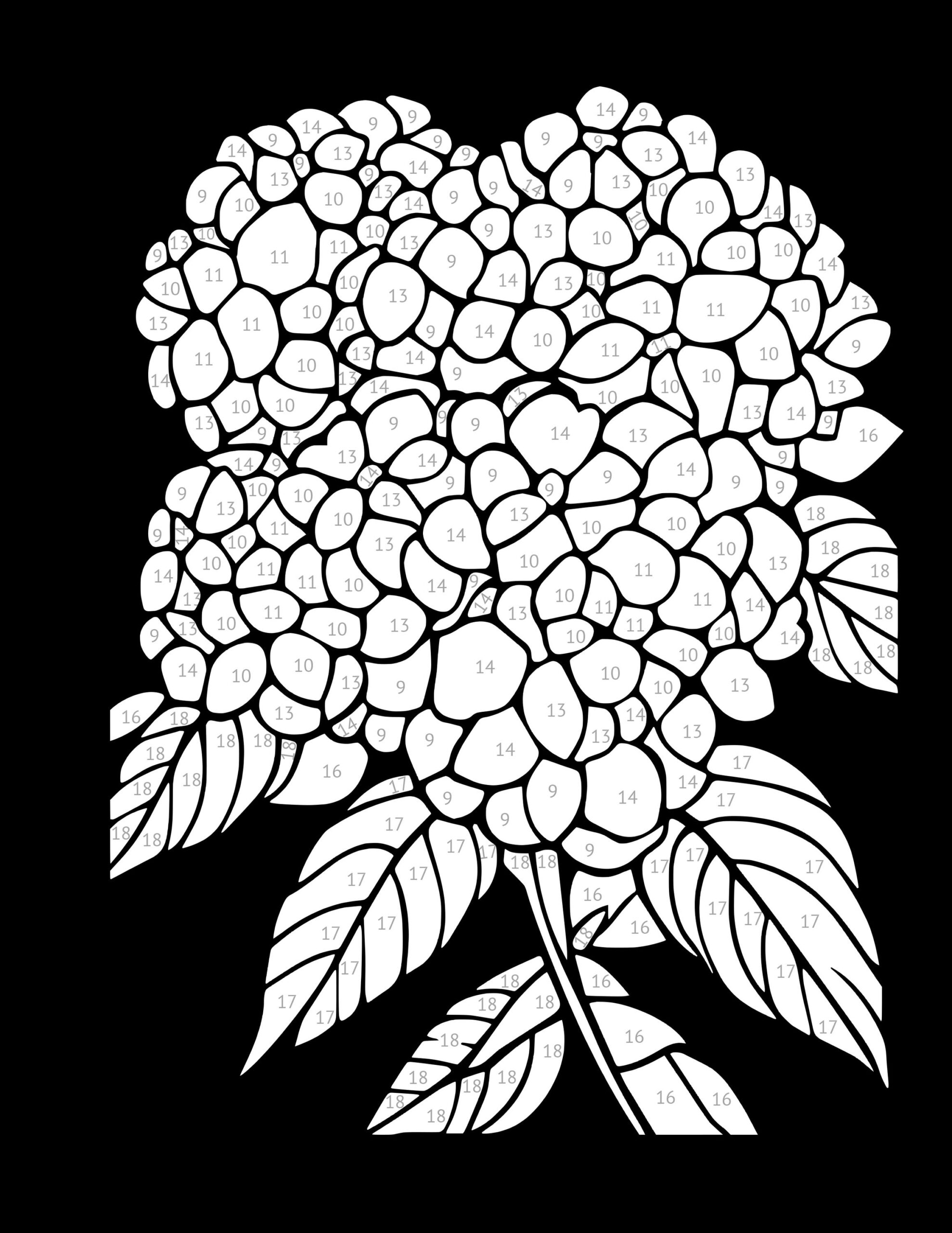 color by number adult coloring pages