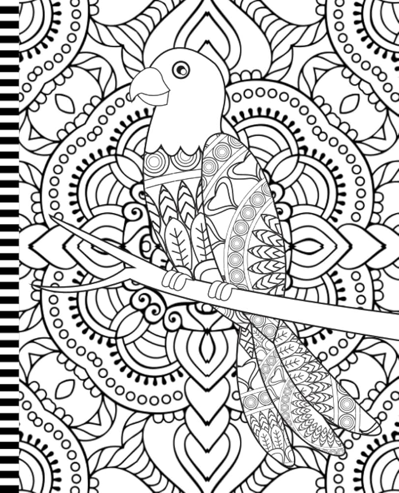 Color Your Own Notebook Cover Composition Book 7 5 X 9 25 Inch 200 Pages 100 Sheets Wide Color Your Own Notebook Cover Composition Book 7 5 X 9 25 Inch 200 Pages 100 Sheets Wide