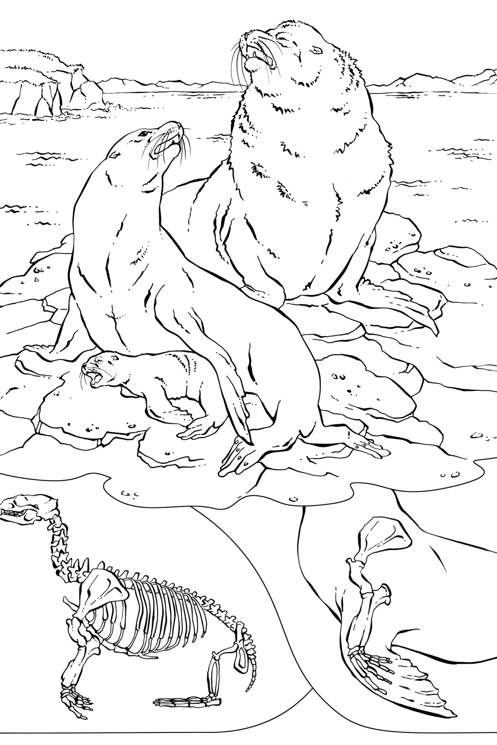 realistic animal coloring page
