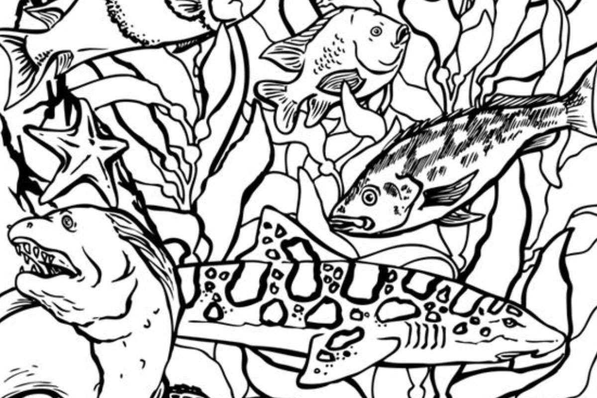 realistic sea animal coloring pages