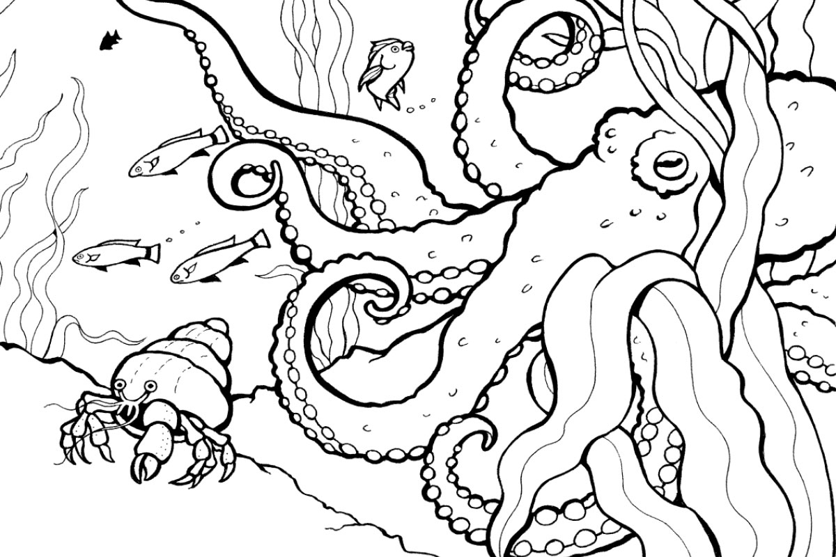 coloring page of ocean animals coloring page of ocean animals