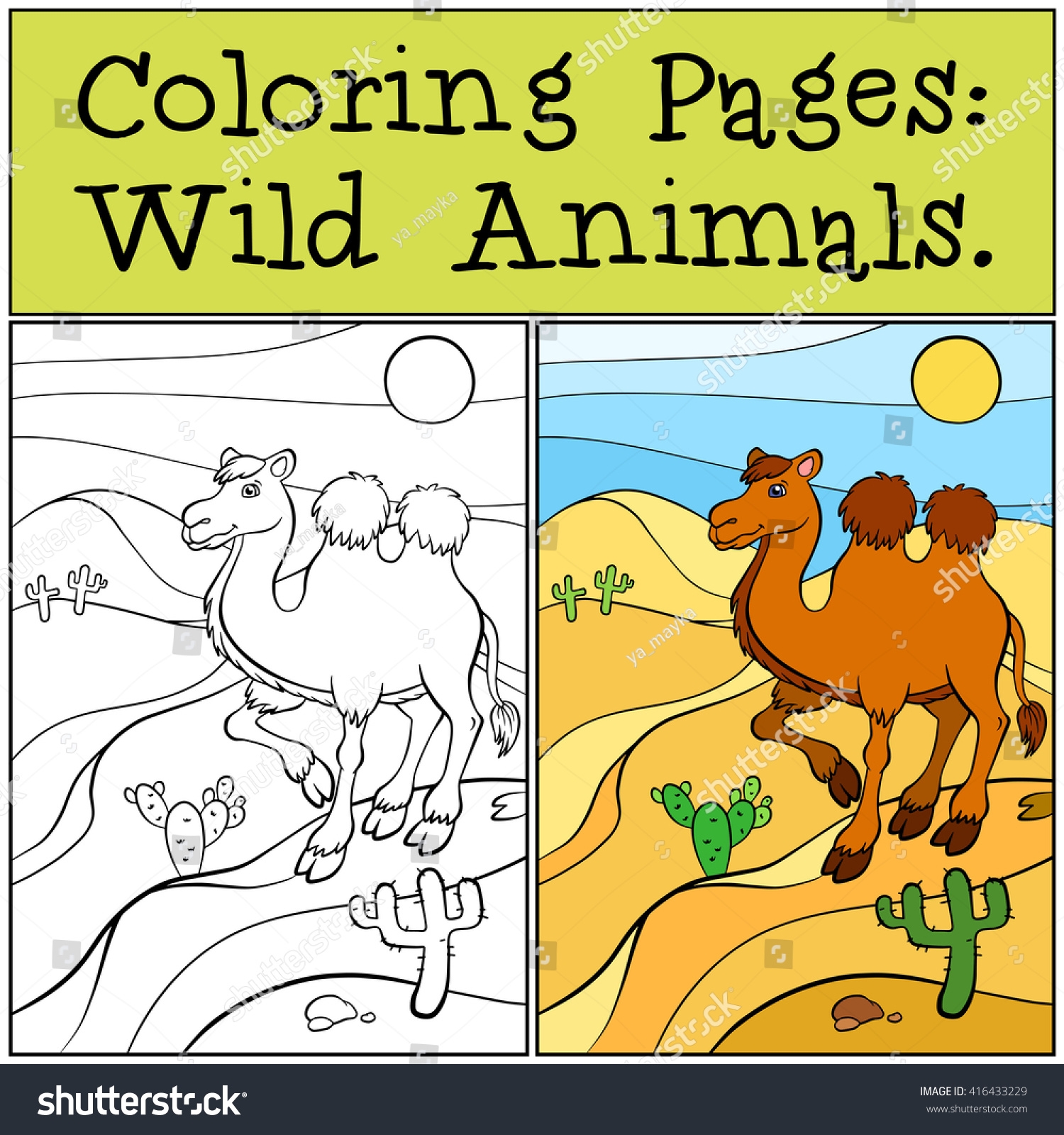 desert animals coloring pages desert animals coloring pages